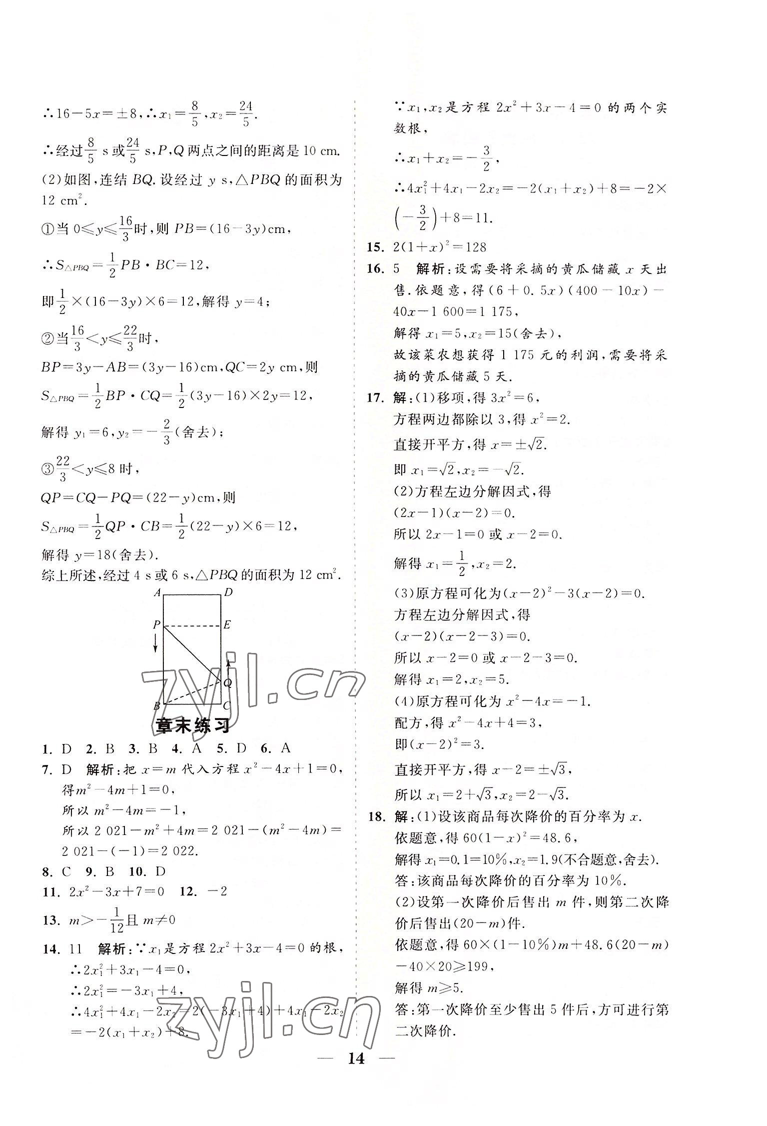 2022年知行課堂九年級數學上冊華師大版 參考答案第14頁