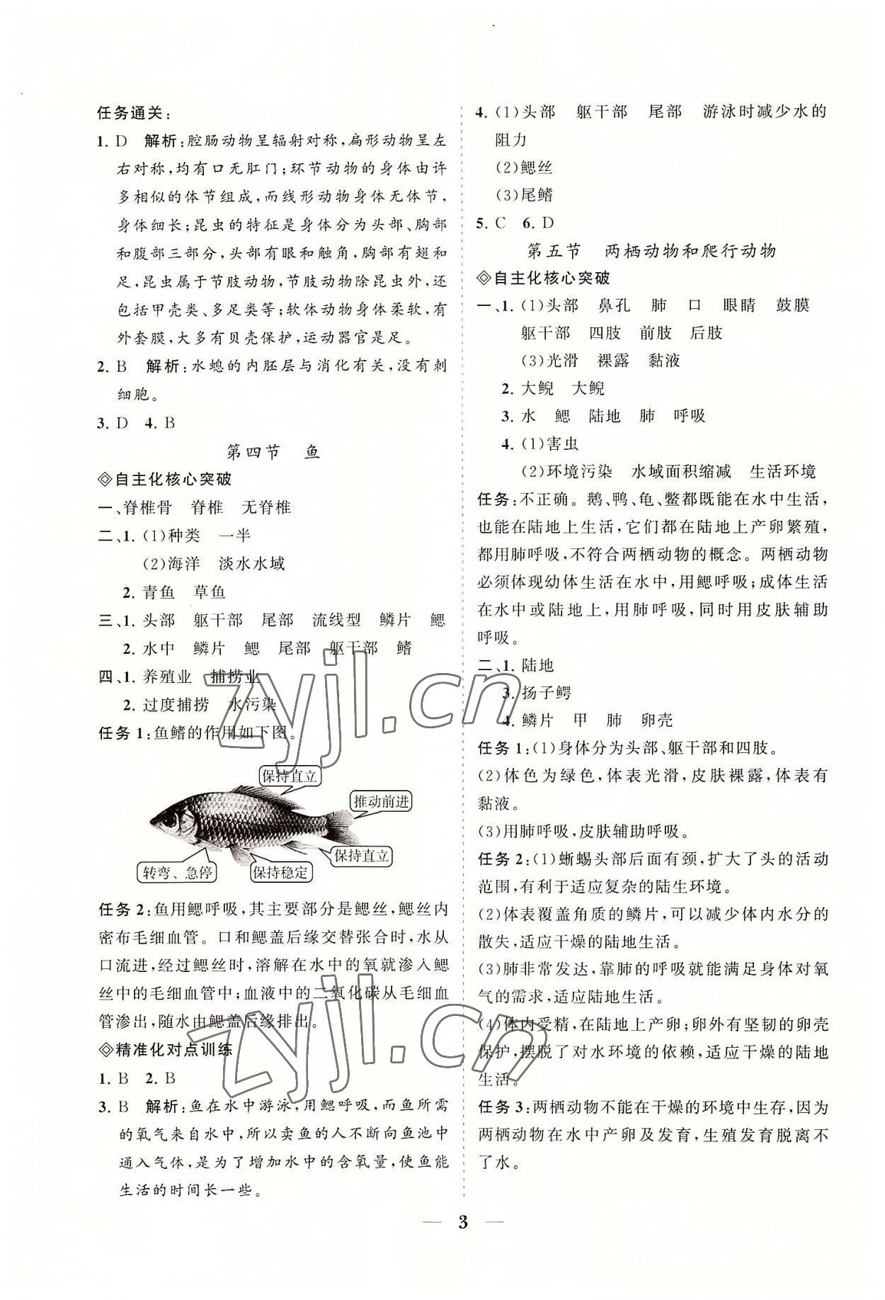 2022年知行课堂八年级生物上册人教版&nbsp;参考答案第3页