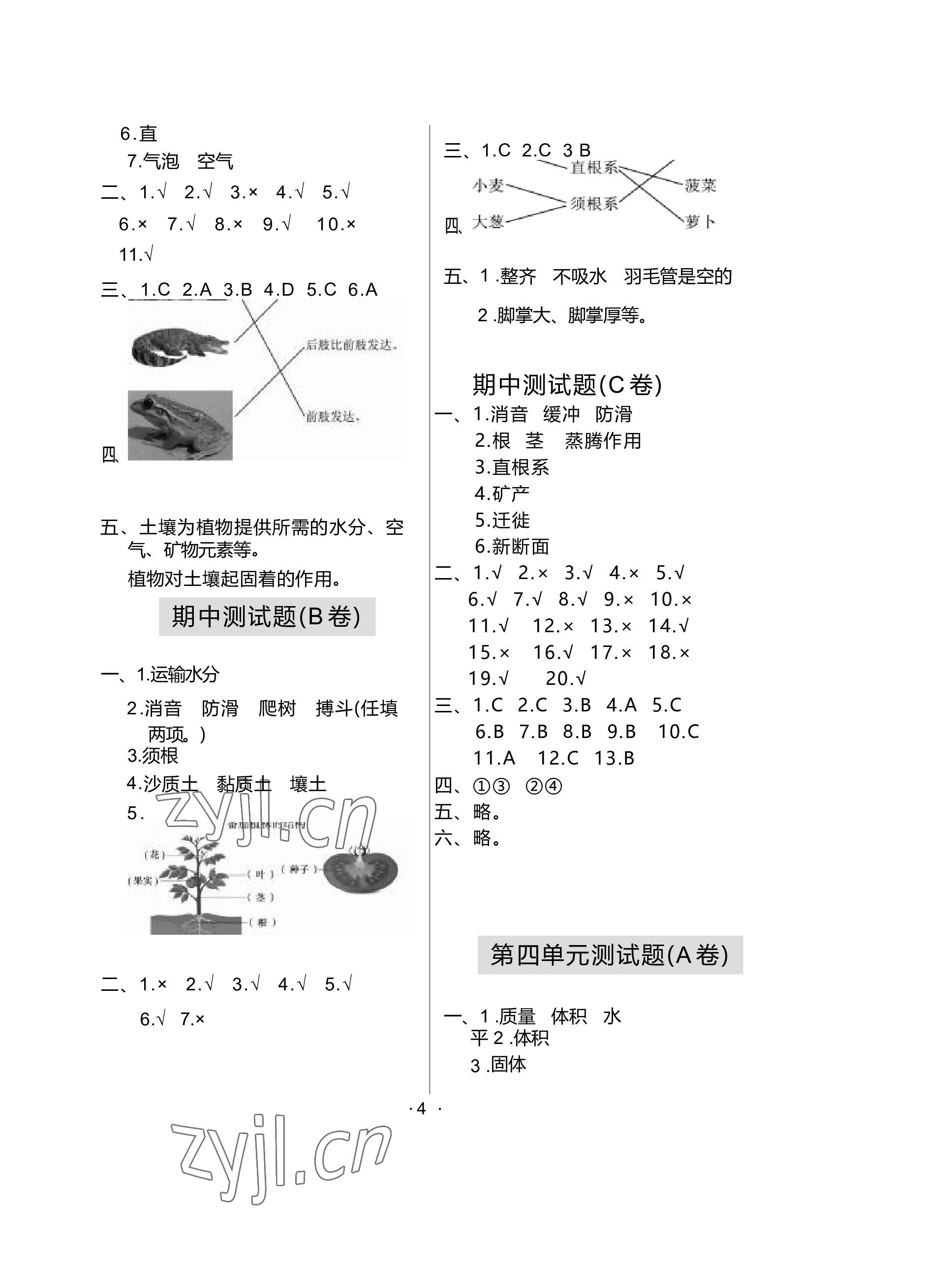 2022年單元自測試卷青島出版社三年級科學(xué)上冊青島版 參考答案第4頁