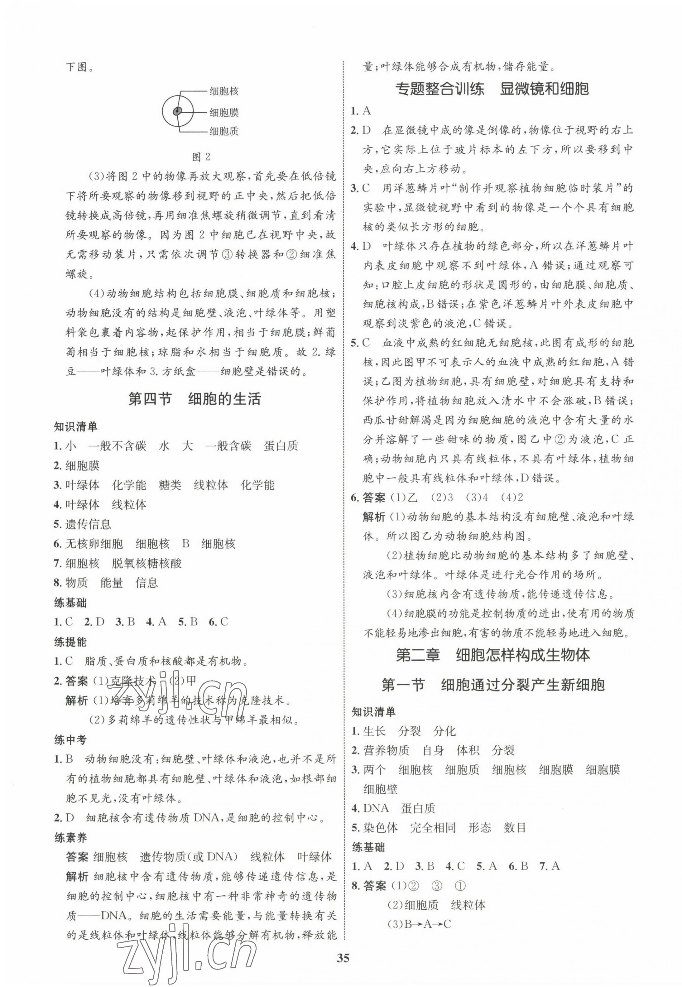 2022年同步學(xué)考優(yōu)化設(shè)計(jì)七年級(jí)生物上冊人教版 第7頁