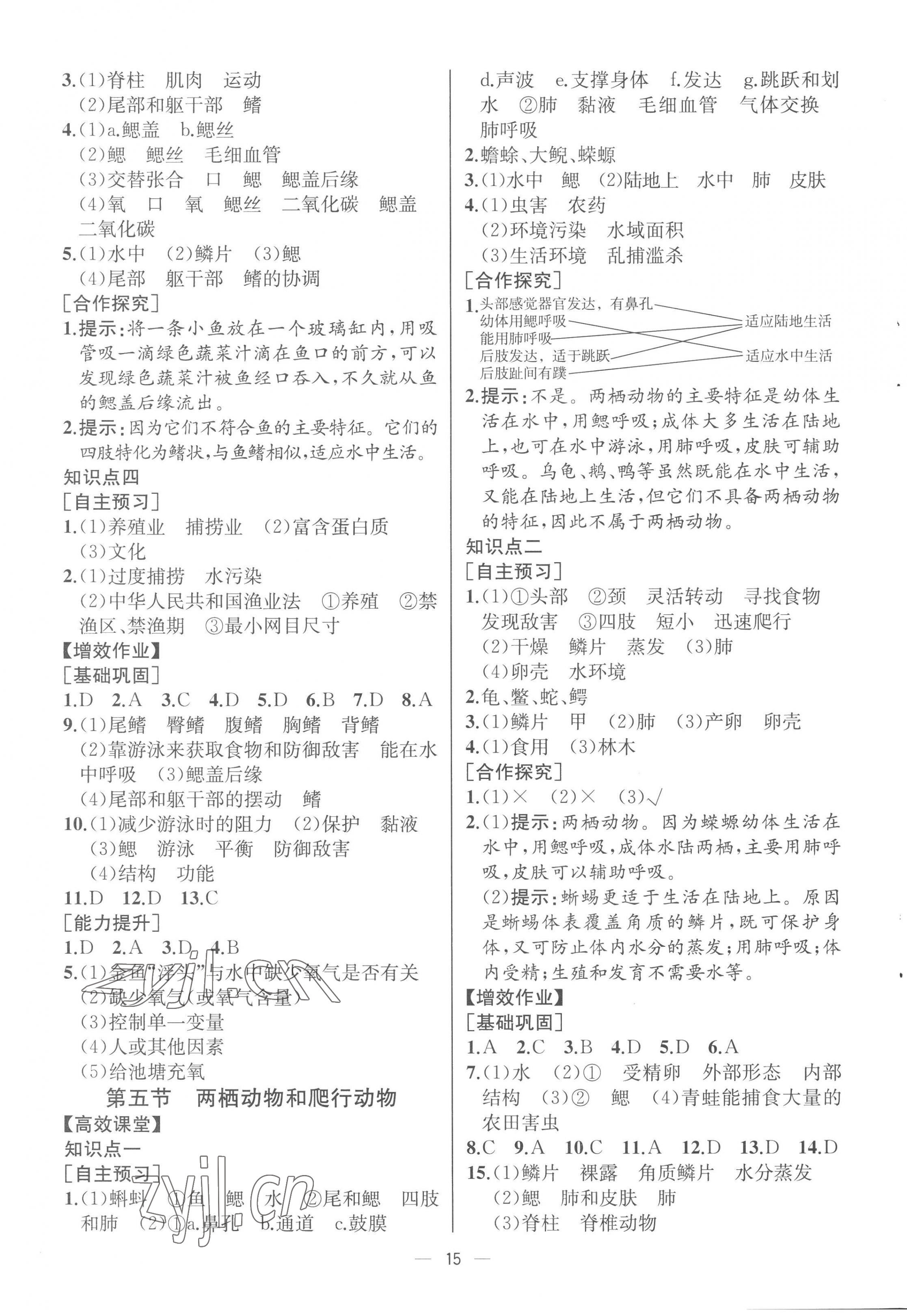 2022年人教金学典同步解析与测评八年级生物上册人教版云南专版 第3页