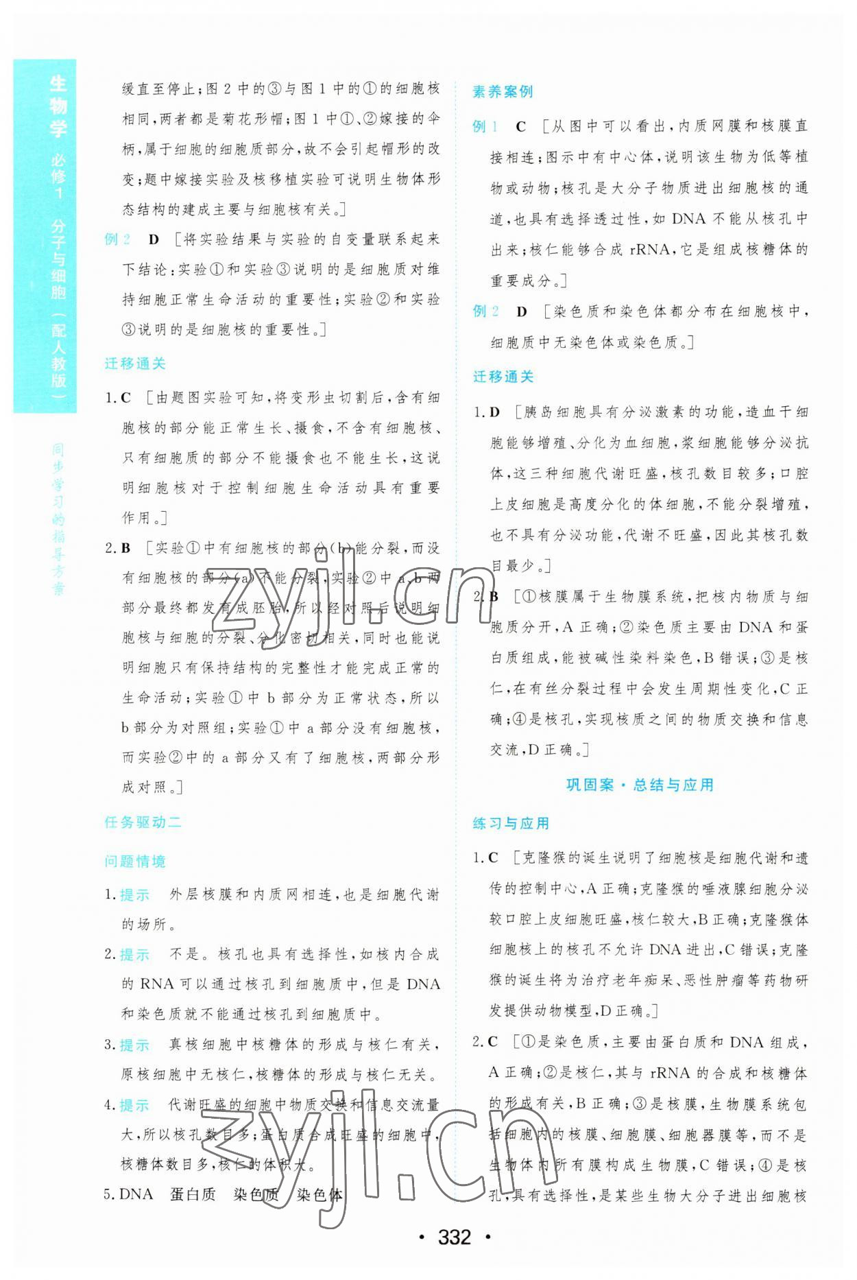 2022年新課程學(xué)習(xí)與測評生物必修1人教版 第22頁