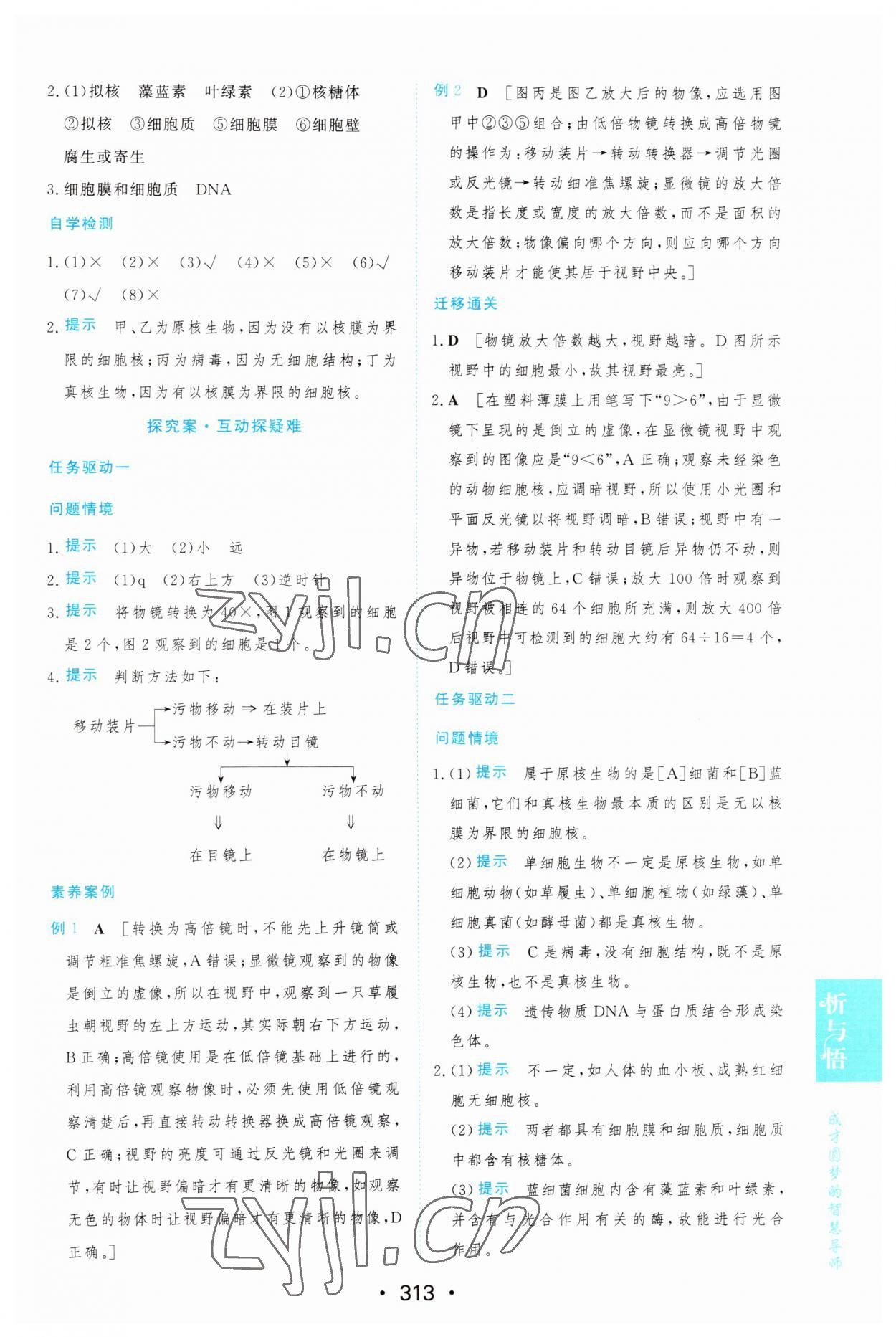 2022年新課程學習與測評生物必修1人教版 第3頁