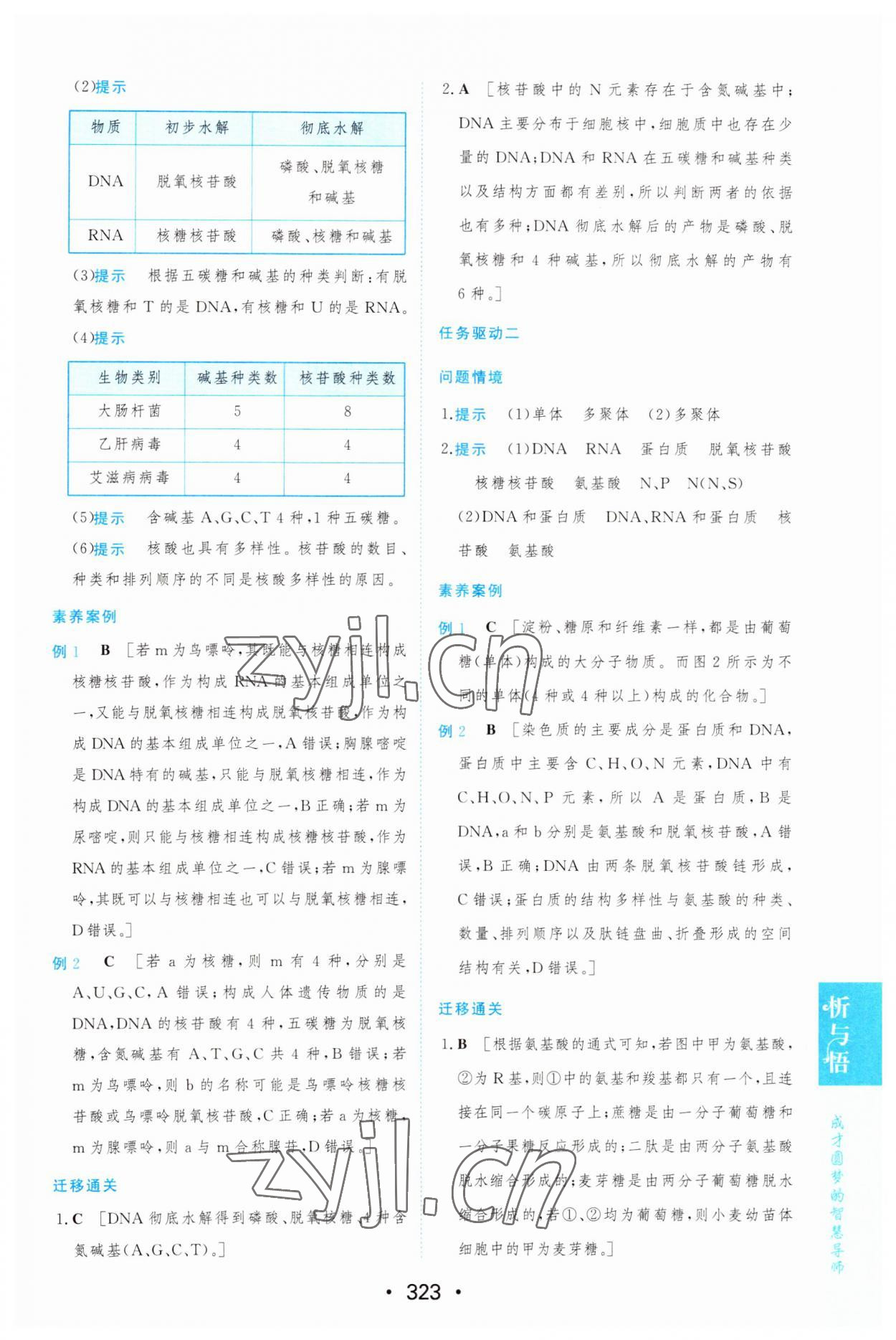 2022年新課程學(xué)習(xí)與測評生物必修1人教版 第13頁