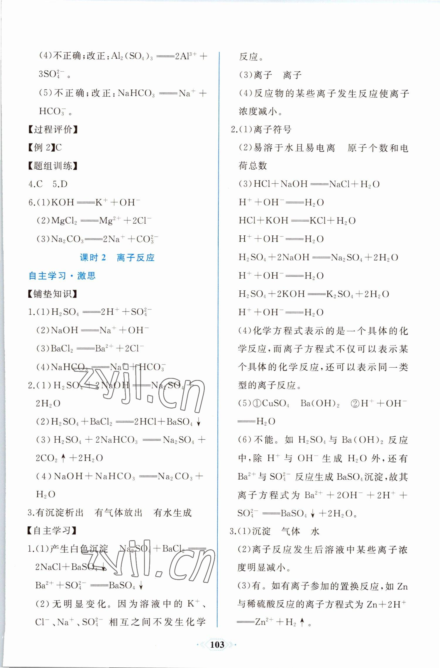 2022年同步解析與測評課時練人民教育出版社高中化學(xué)必修第一冊人教版增強版 第5頁