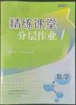 2022年精练课堂分层作业七年级数学上册人教版