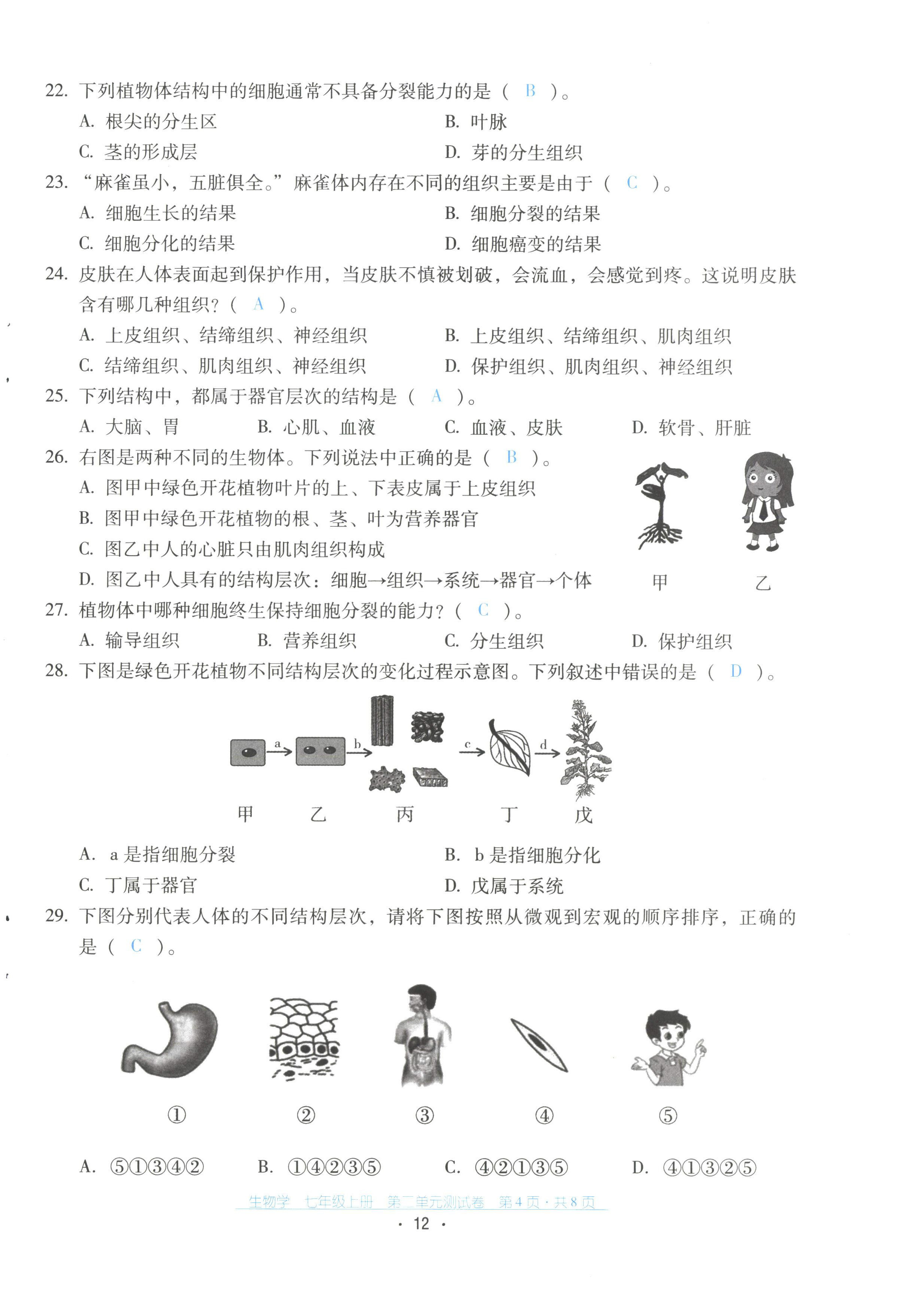 2022年云南省标准教辅优佳学案配套测试卷七年级生物上册人教版 第12页