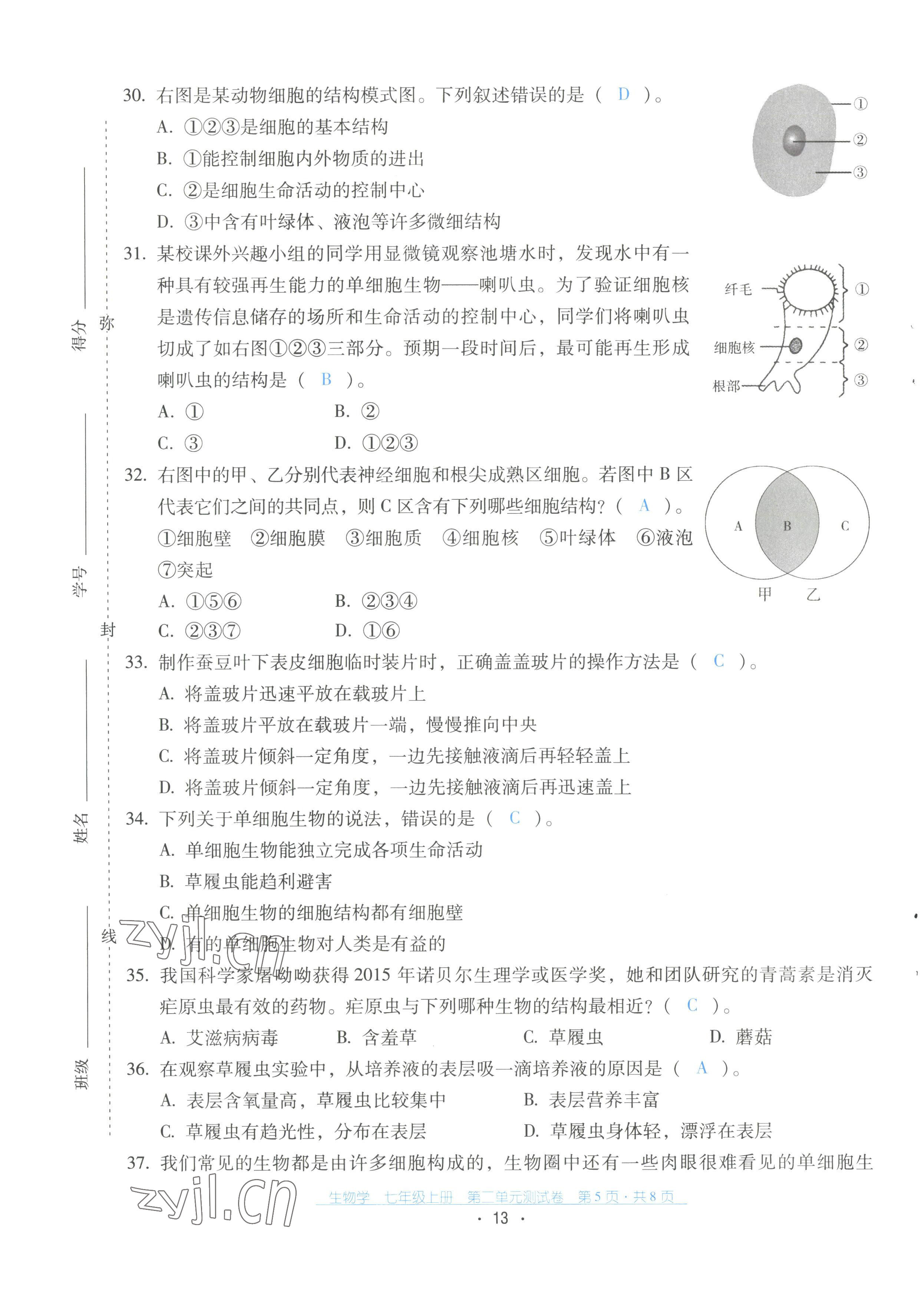 2022年云南省标准教辅优佳学案配套测试卷七年级生物上册人教版 第13页