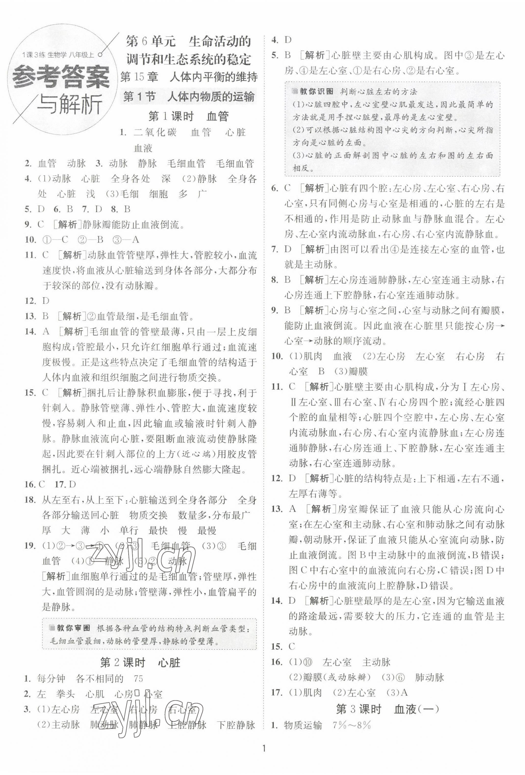 2022年1课3练单元达标测试八年级生物上册苏科版 第1页