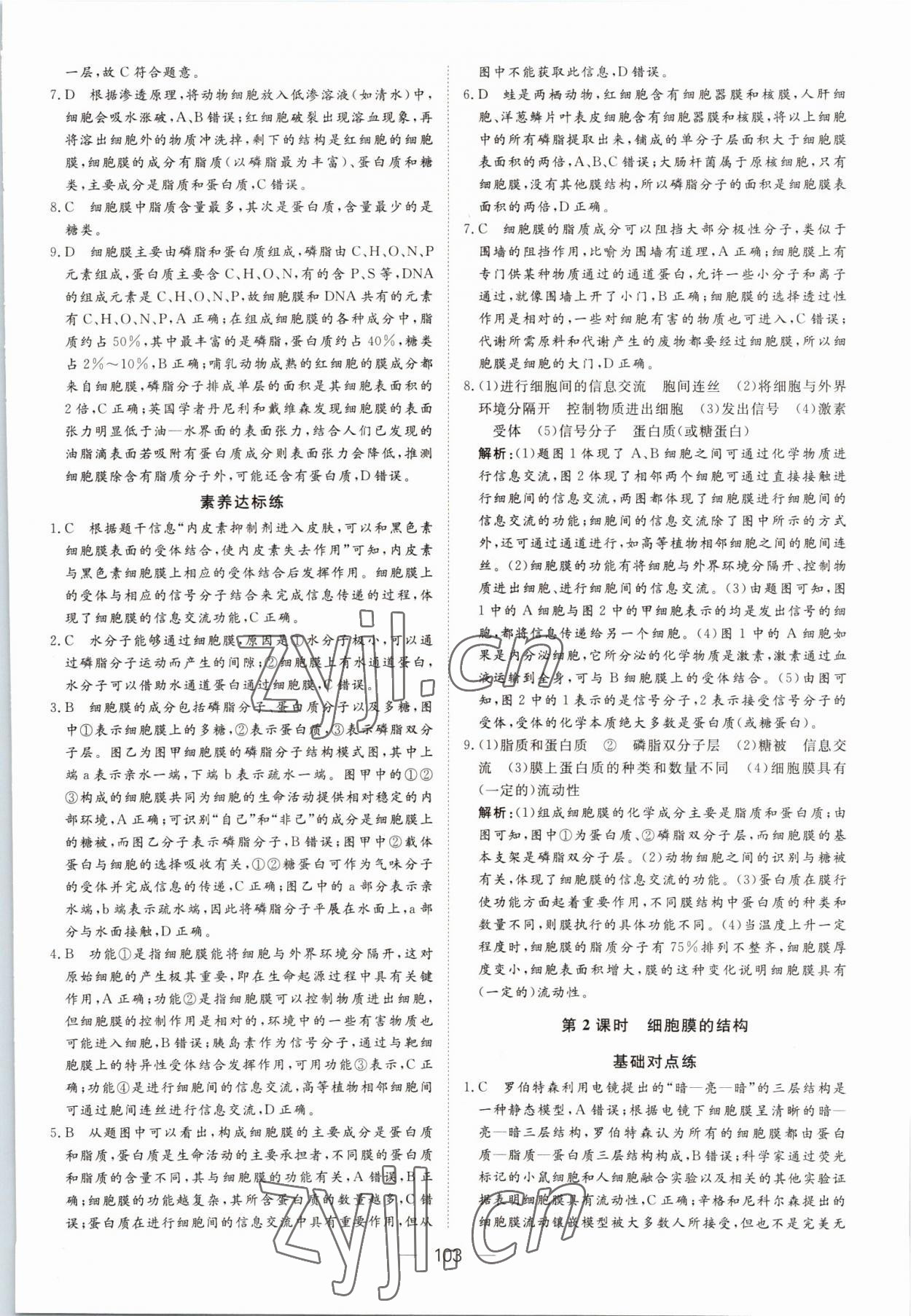 2022年15分鐘精準(zhǔn)訓(xùn)練高中生物必修1人教版 參考答案第13頁