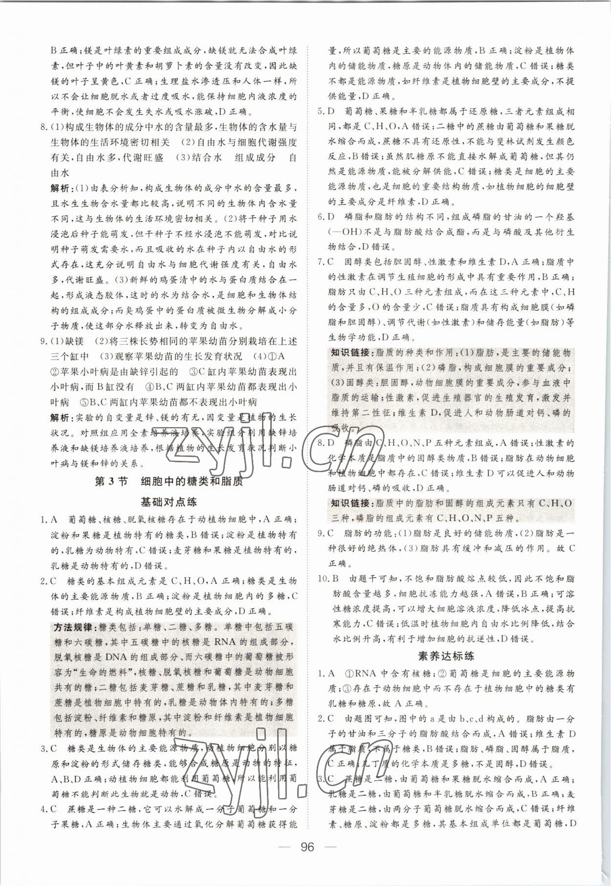 2022年15分鐘精準(zhǔn)訓(xùn)練高中生物必修1人教版 參考答案第6頁(yè)