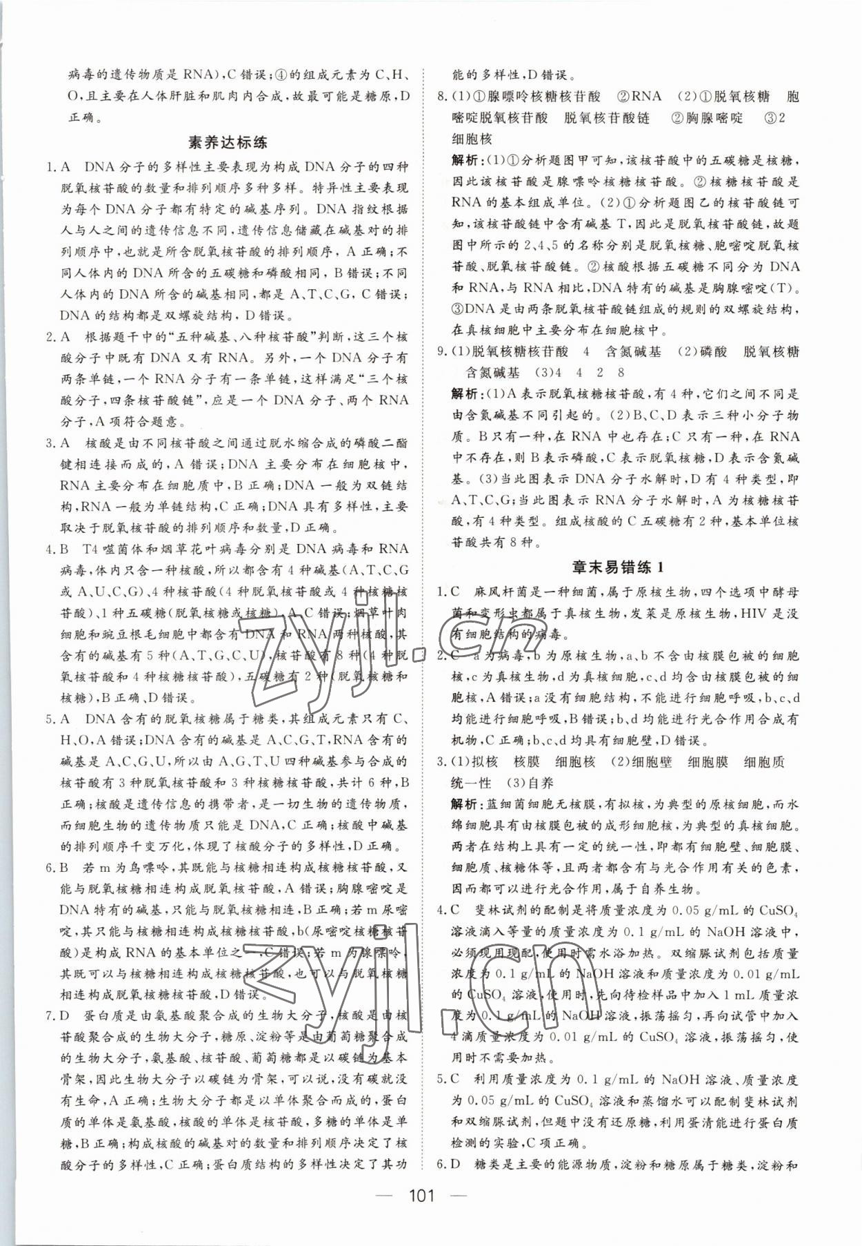 2022年15分鐘精準(zhǔn)訓(xùn)練高中生物必修1人教版 參考答案第11頁