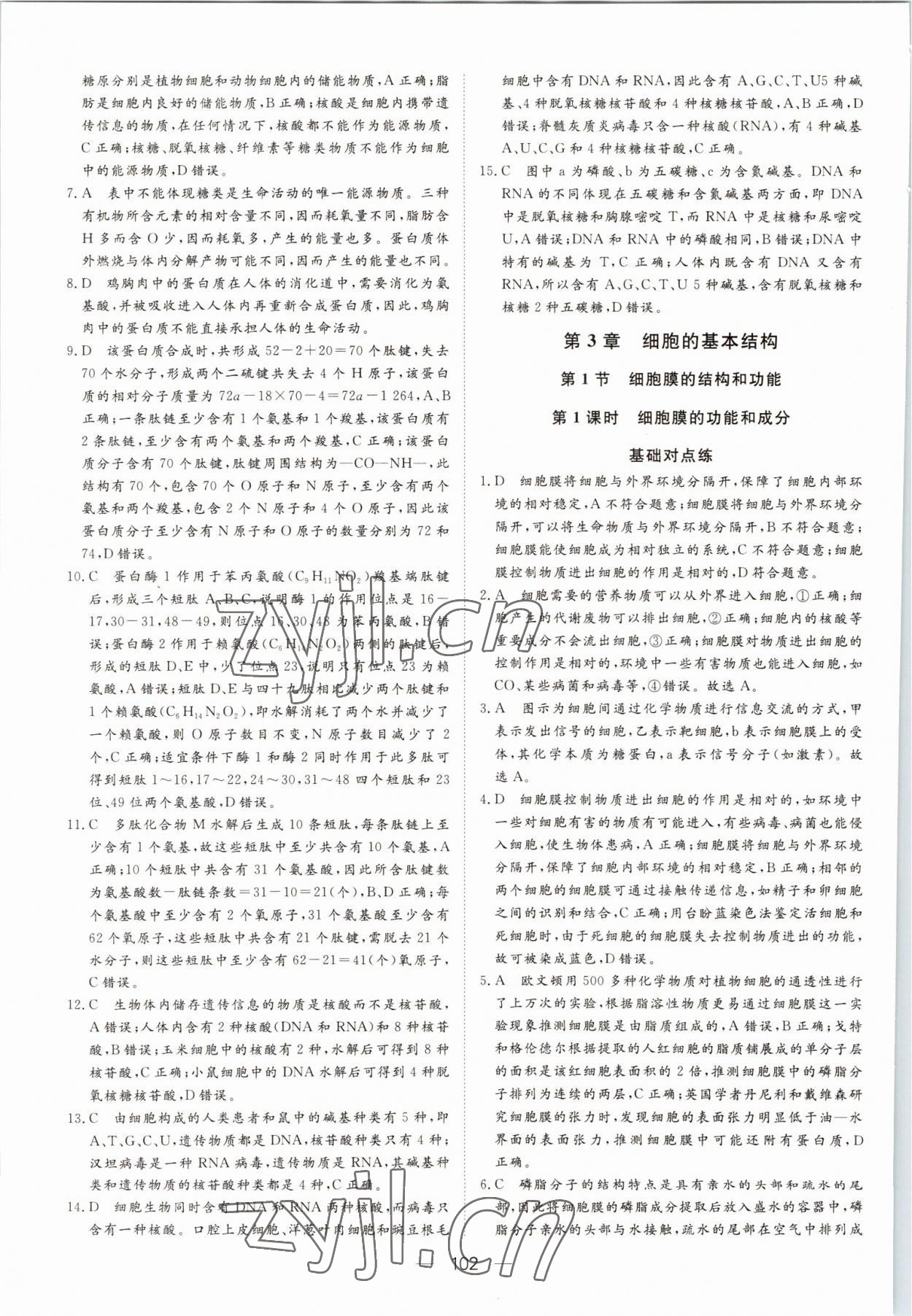 2022年15分鐘精準訓練高中生物必修1人教版 參考答案第12頁
