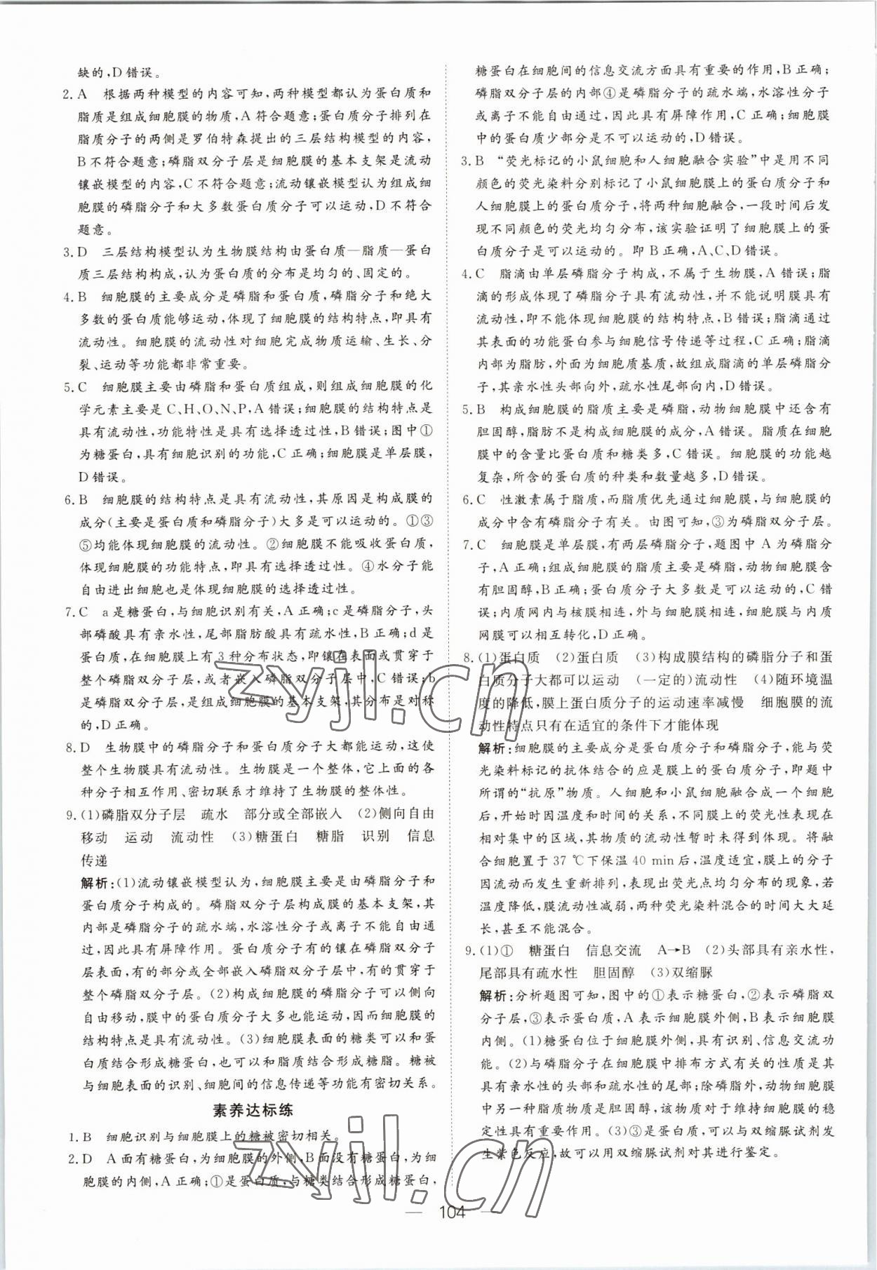 2022年15分鐘精準(zhǔn)訓(xùn)練高中生物必修1人教版 參考答案第14頁(yè)