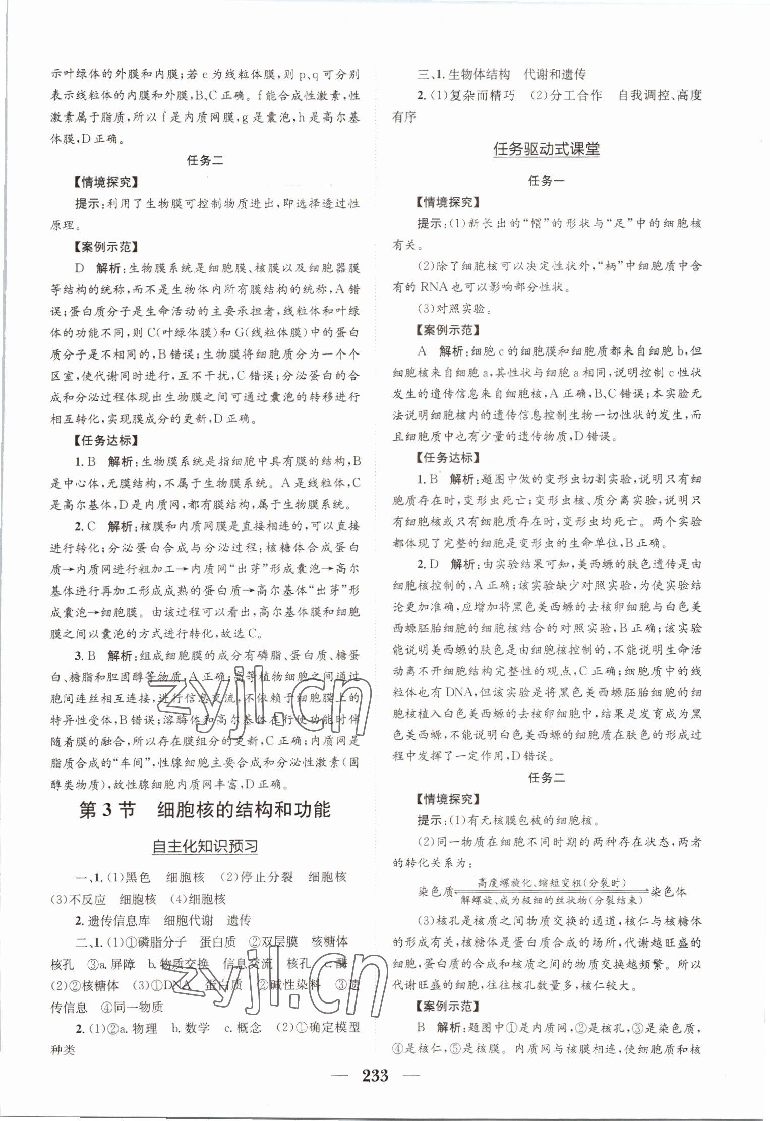 2022年長江作業(yè)本同步練習(xí)冊高中生物必修1人教版 參考答案第11頁