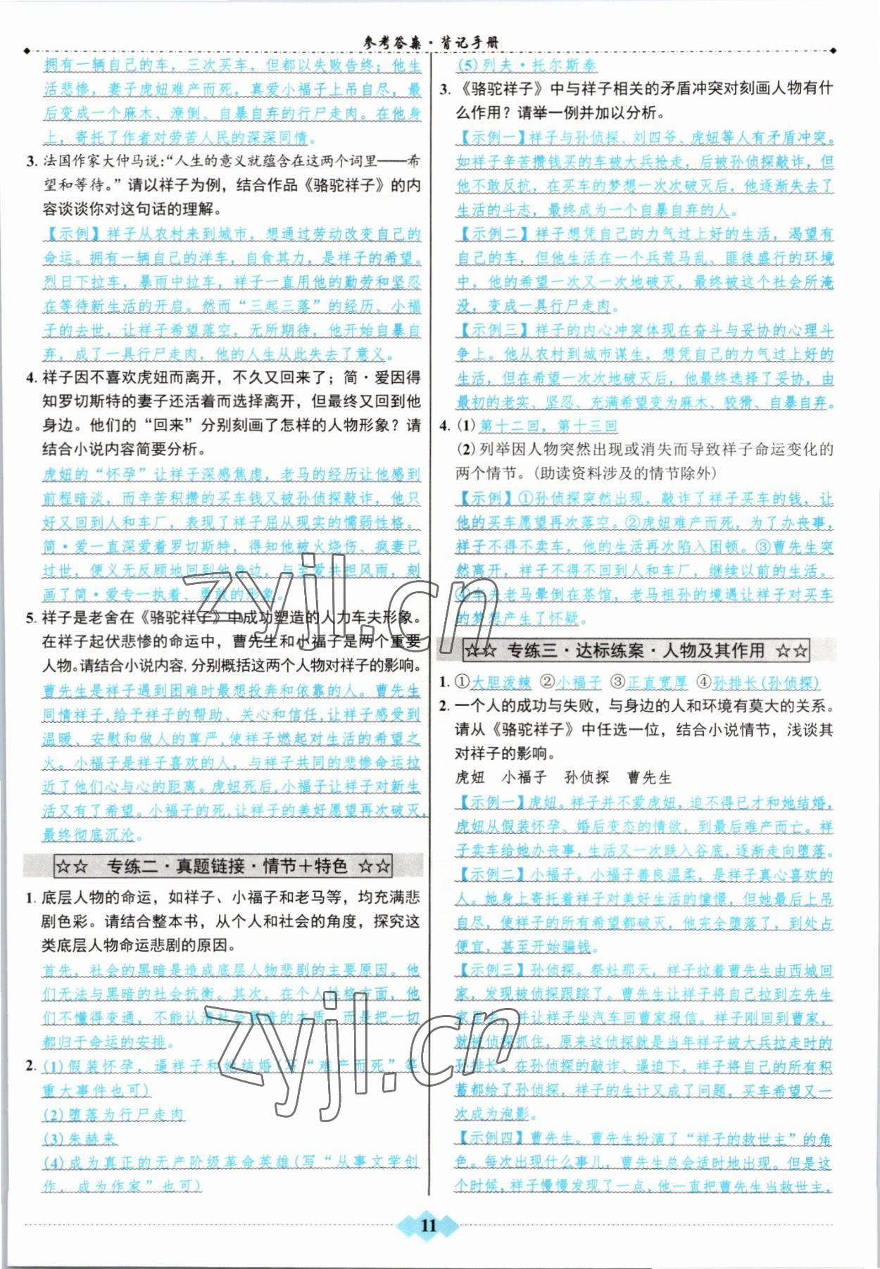 2022年達(dá)標(biāo)學(xué)案名著解讀一點(diǎn)通中考語(yǔ)文 參考答案第10頁(yè)