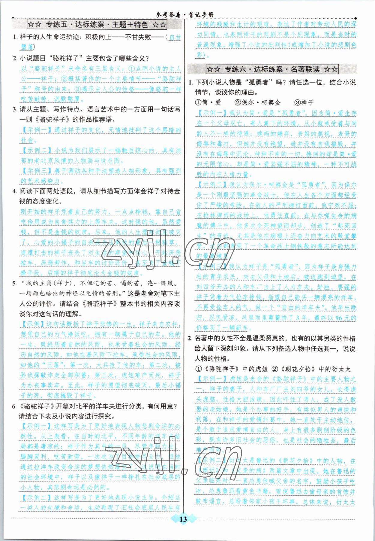 2022年達標學(xué)案名著解讀一點通中考語文 參考答案第12頁