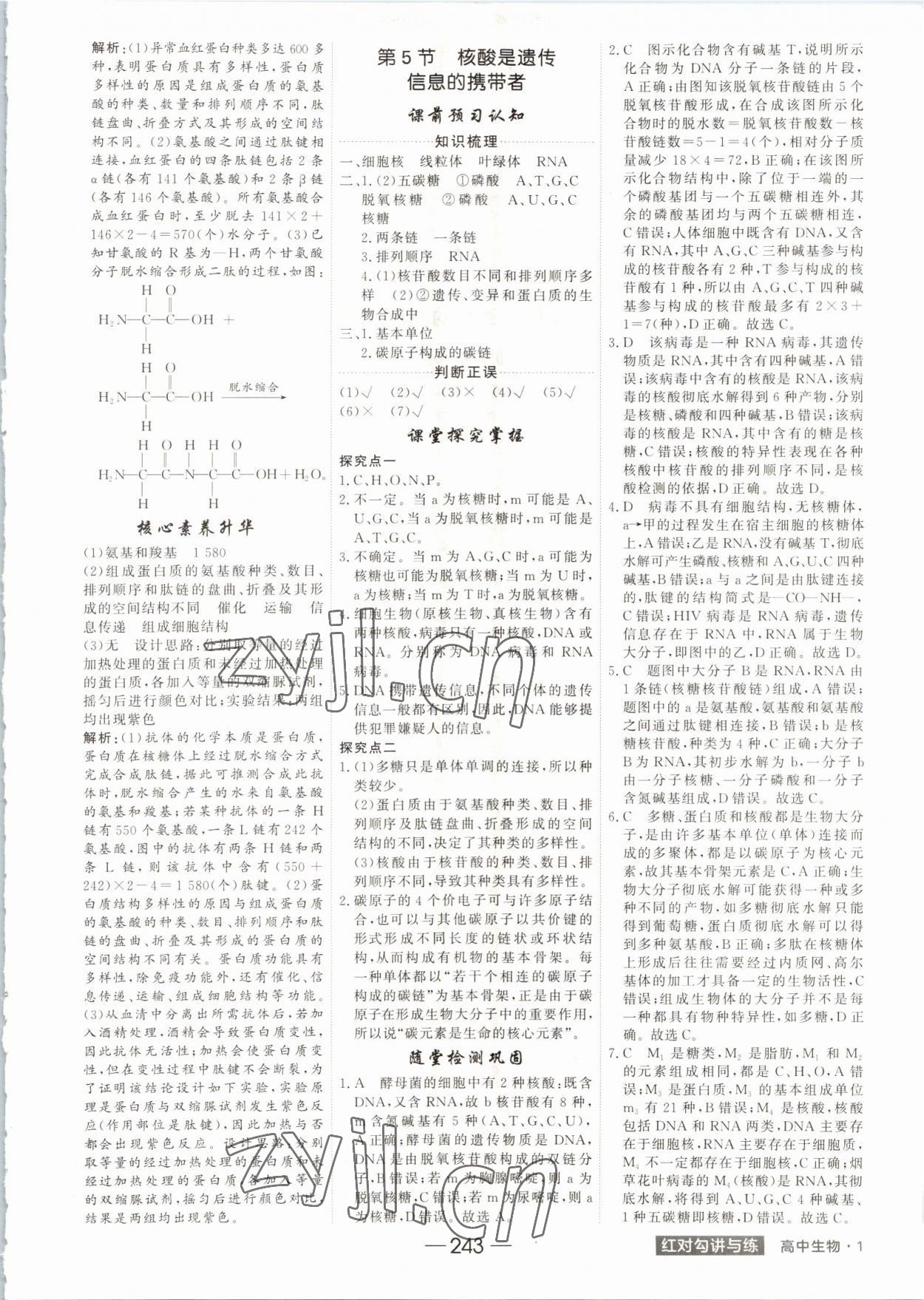 2022年紅對勾講與練高中生物必修1分子與細胞人教版 參考答案第7頁