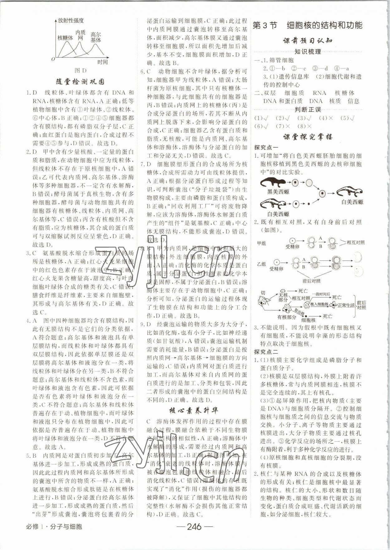 2022年紅對勾講與練高中生物必修1分子與細胞人教版 參考答案第10頁