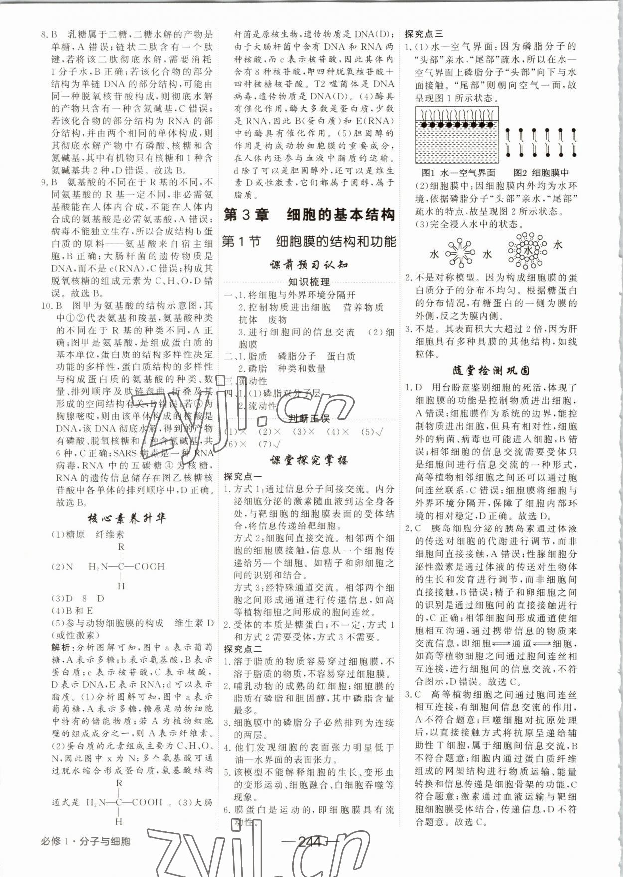 2022年紅對勾講與練高中生物必修1分子與細(xì)胞人教版 參考答案第8頁