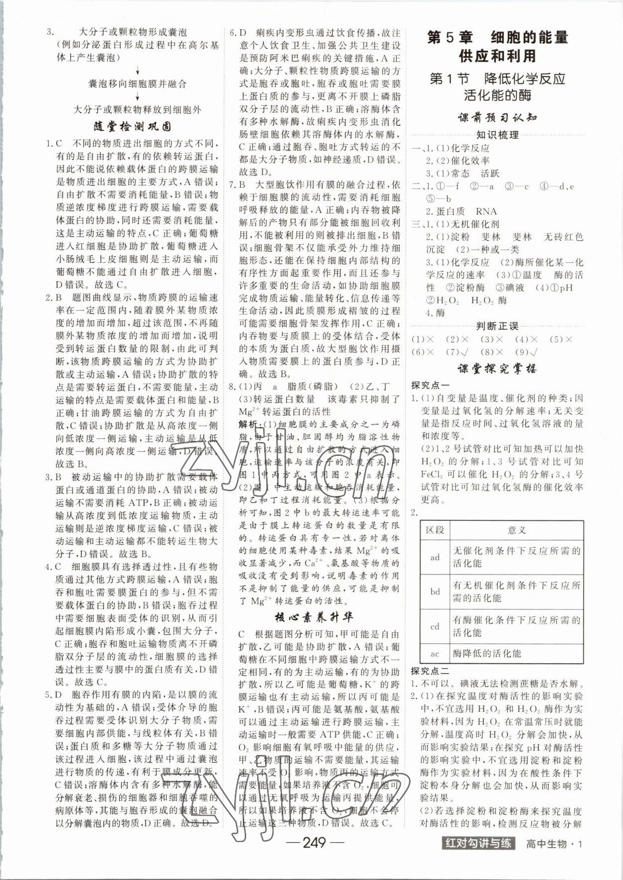 2022年紅對(duì)勾講與練高中生物必修1分子與細(xì)胞人教版 參考答案第13頁