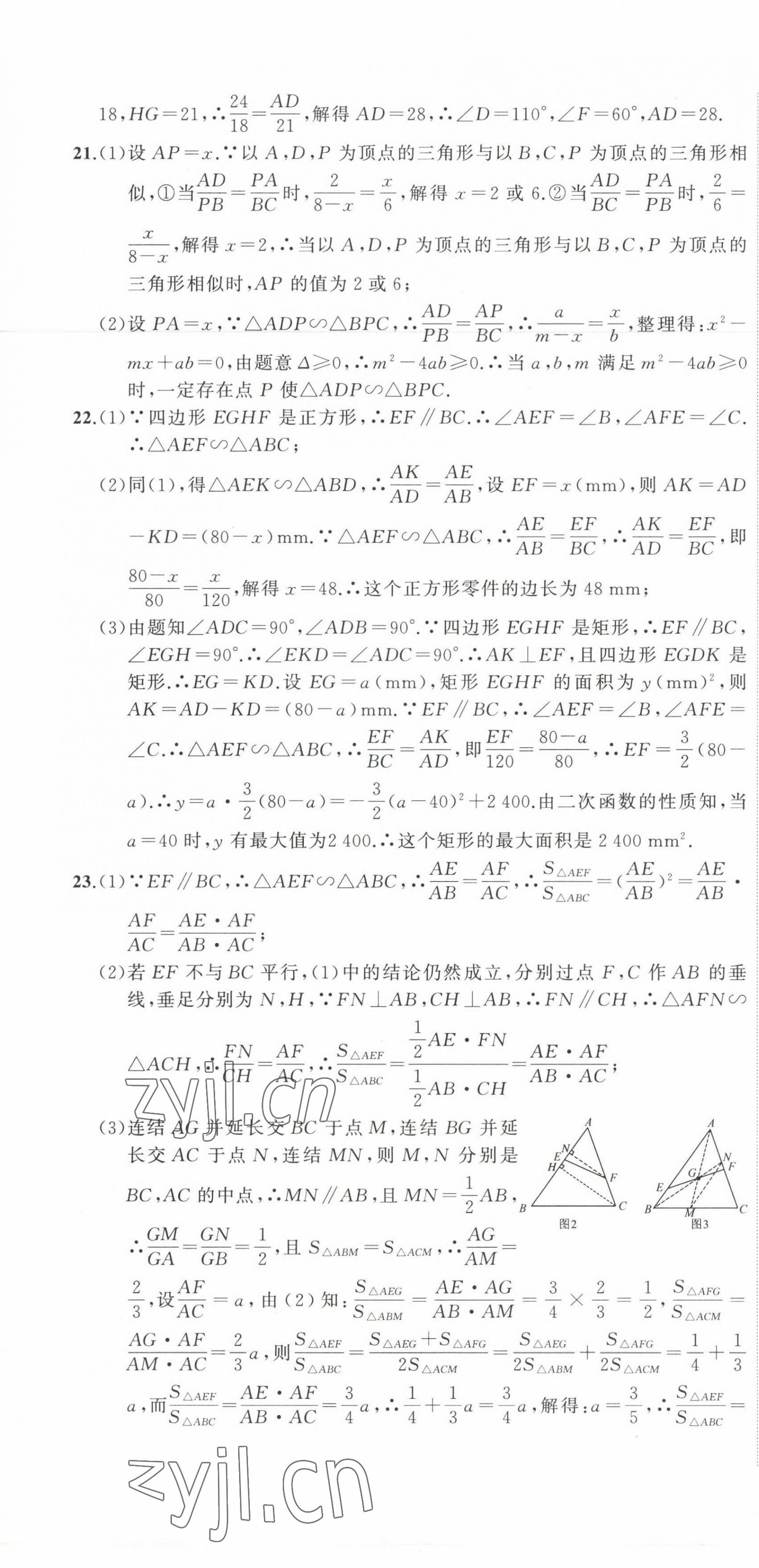 2022年全能卷王单元测试卷九年级数学全一册浙教版 第13页