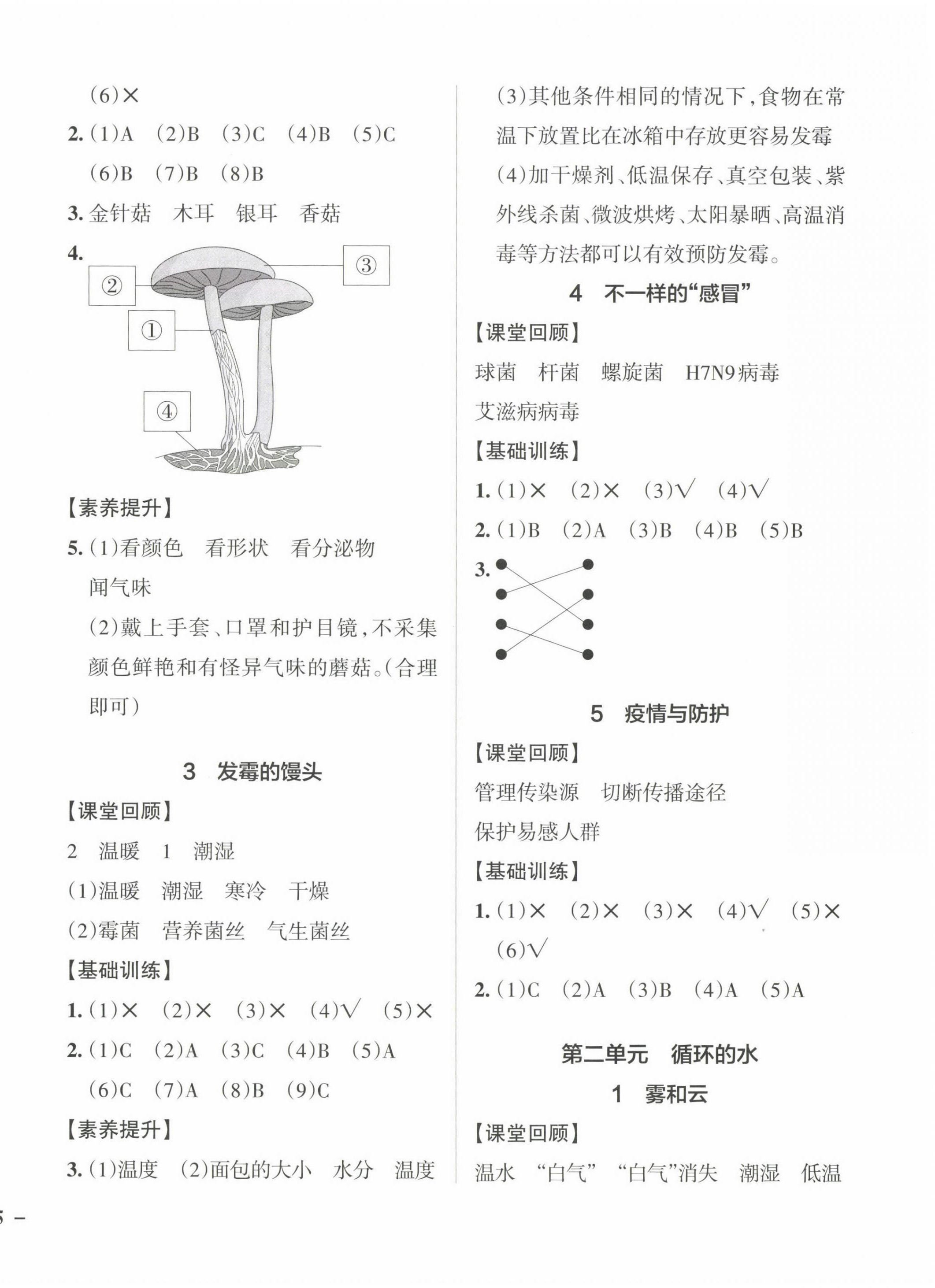 2022年小學(xué)學(xué)霸作業(yè)本六年級科學(xué)上冊大象版 參考答案第2頁