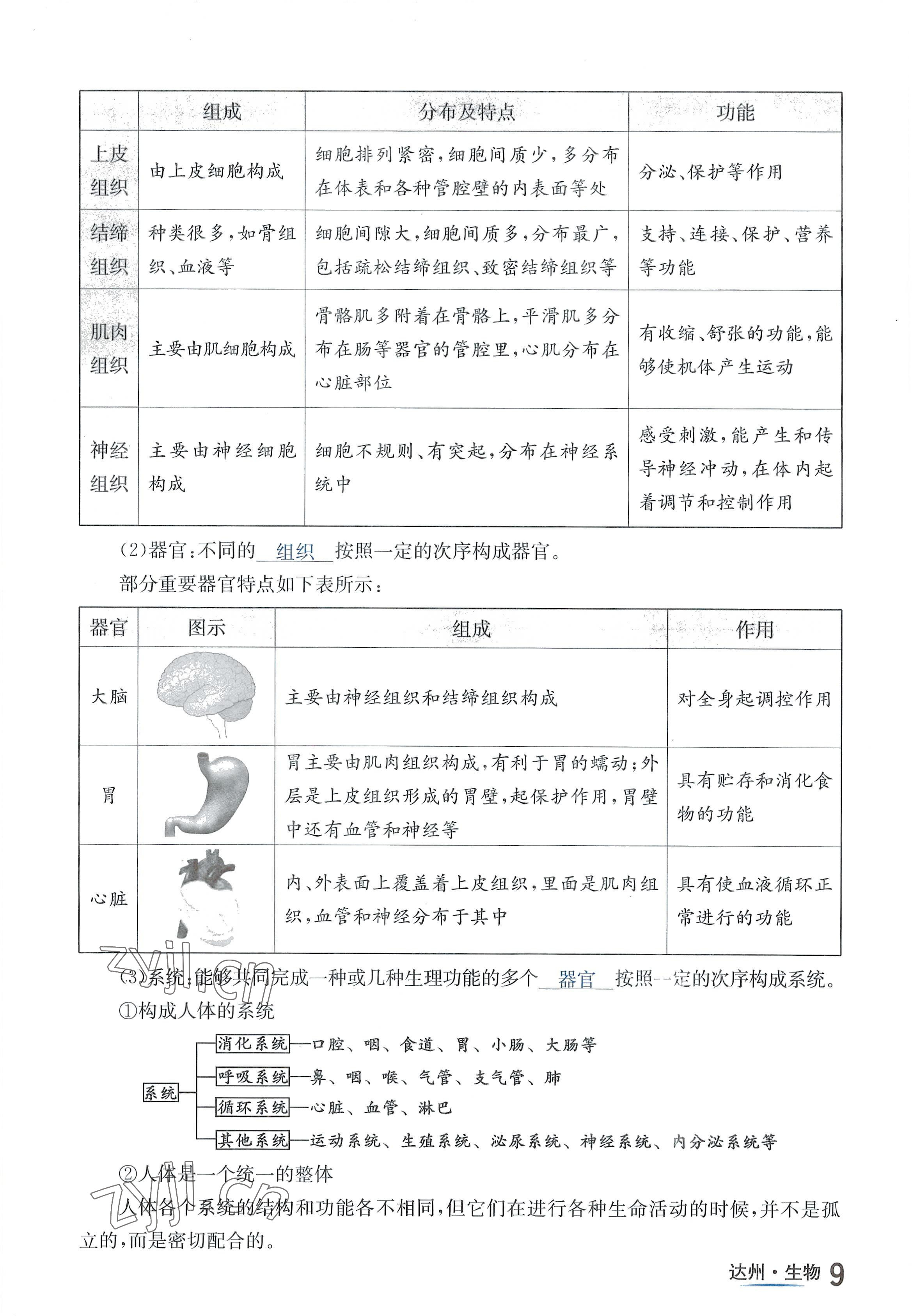 2022年國華考試中考總動員生物達州專版 參考答案第21頁