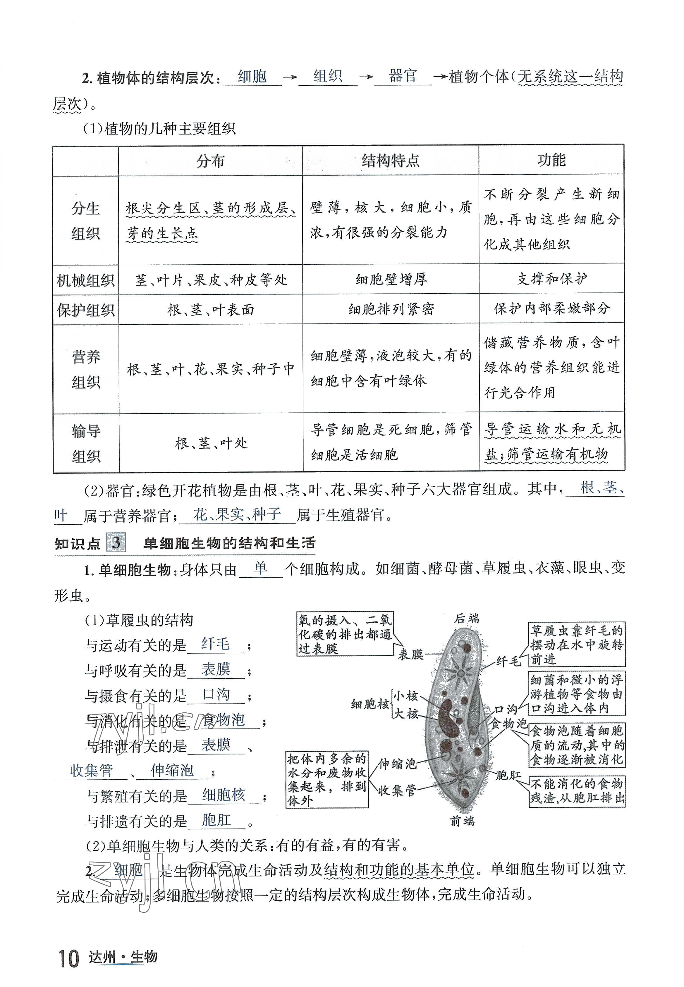 2022年國華考試中考總動員生物達州專版 參考答案第23頁