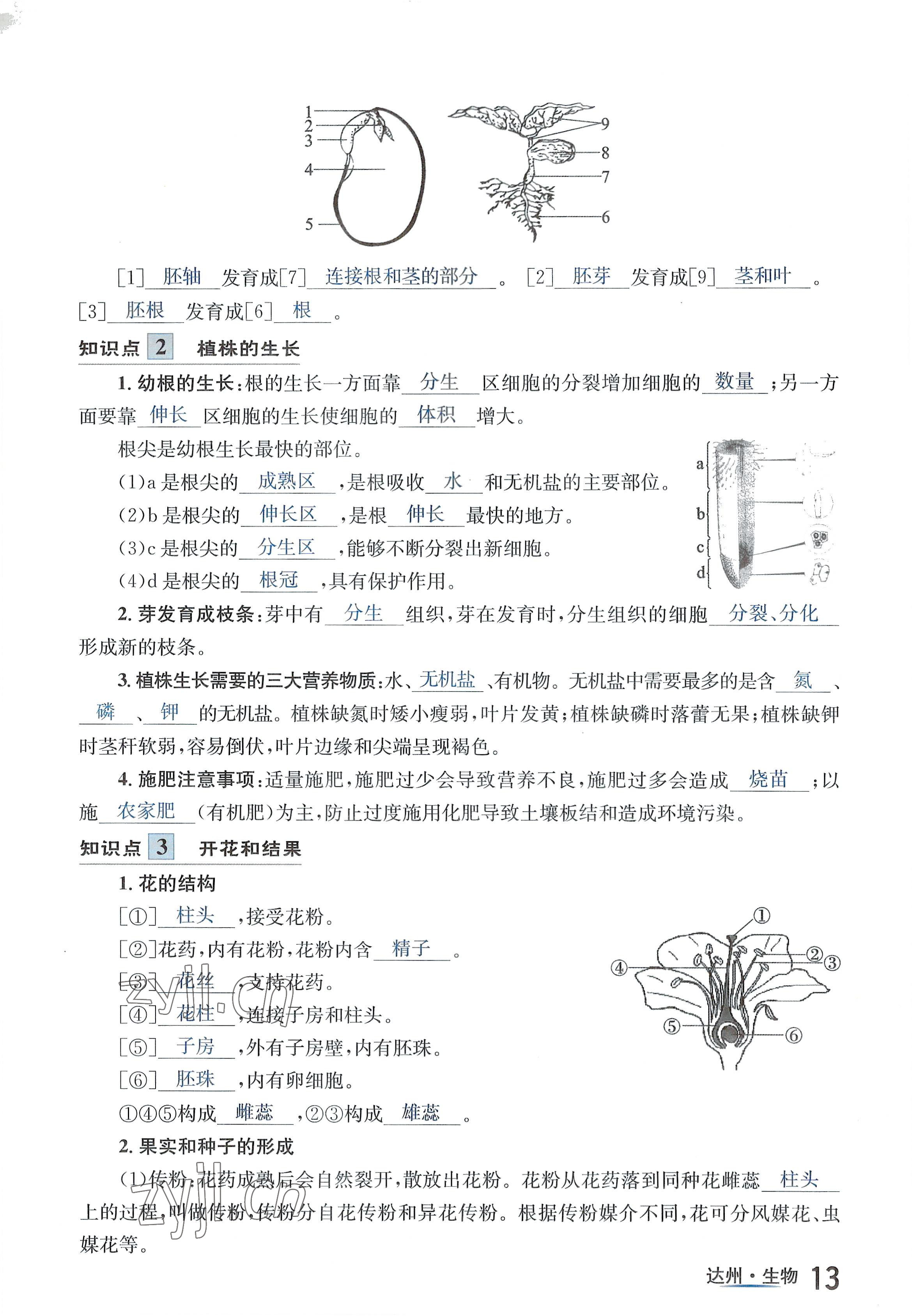 2022年國(guó)華考試中考總動(dòng)員生物達(dá)州專版 參考答案第29頁(yè)