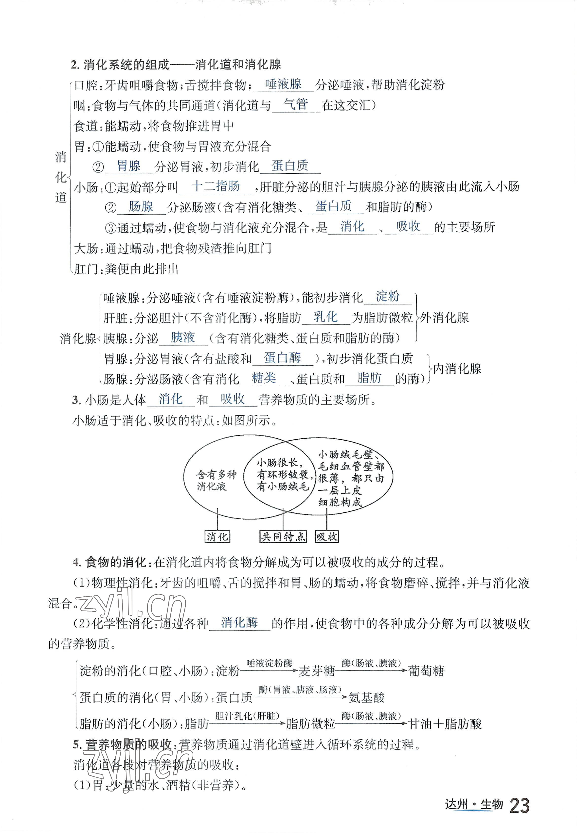 2022年國華考試中考總動員生物達州專版 參考答案第49頁