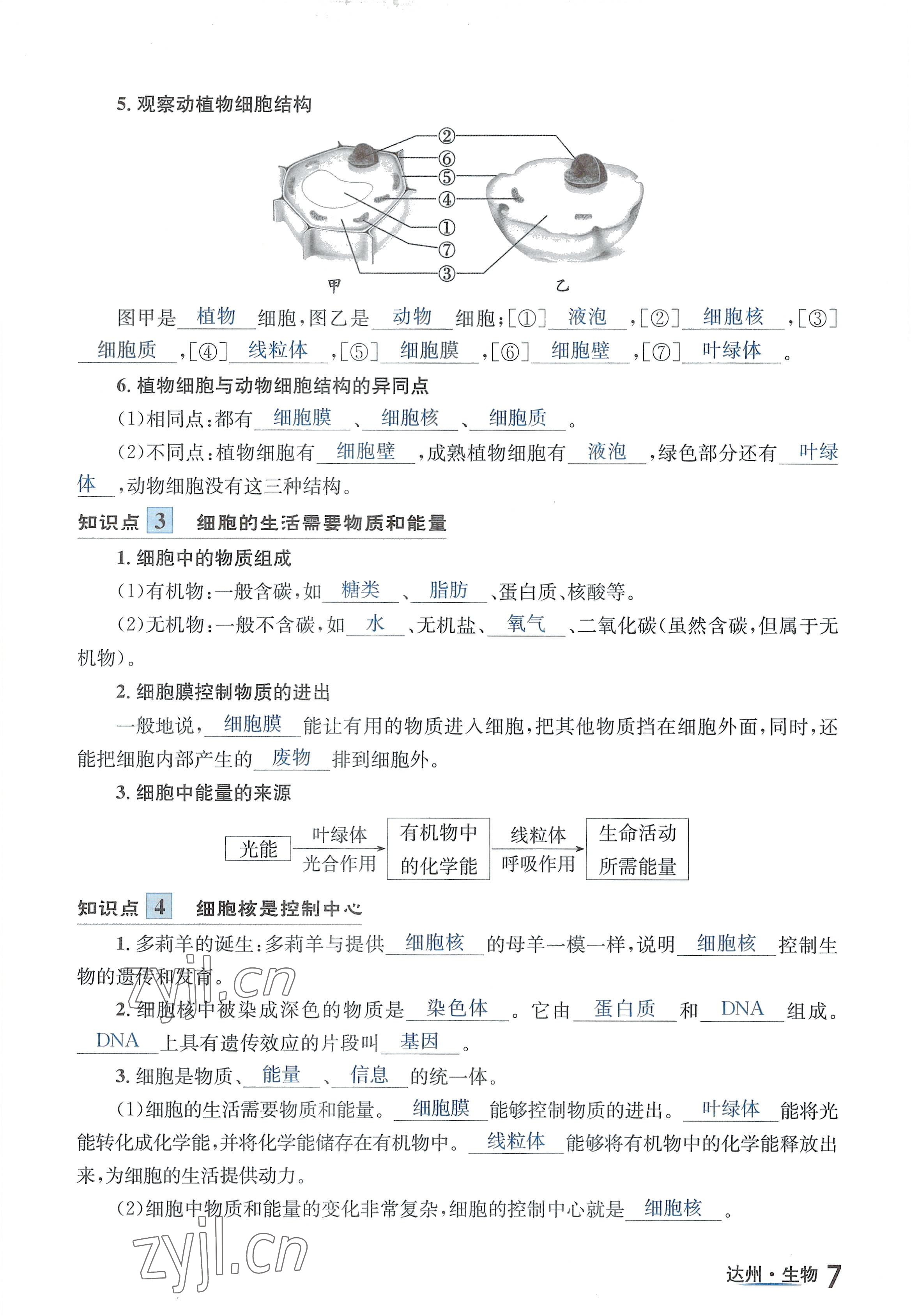 2022年國(guó)華考試中考總動(dòng)員生物達(dá)州專版 參考答案第17頁(yè)