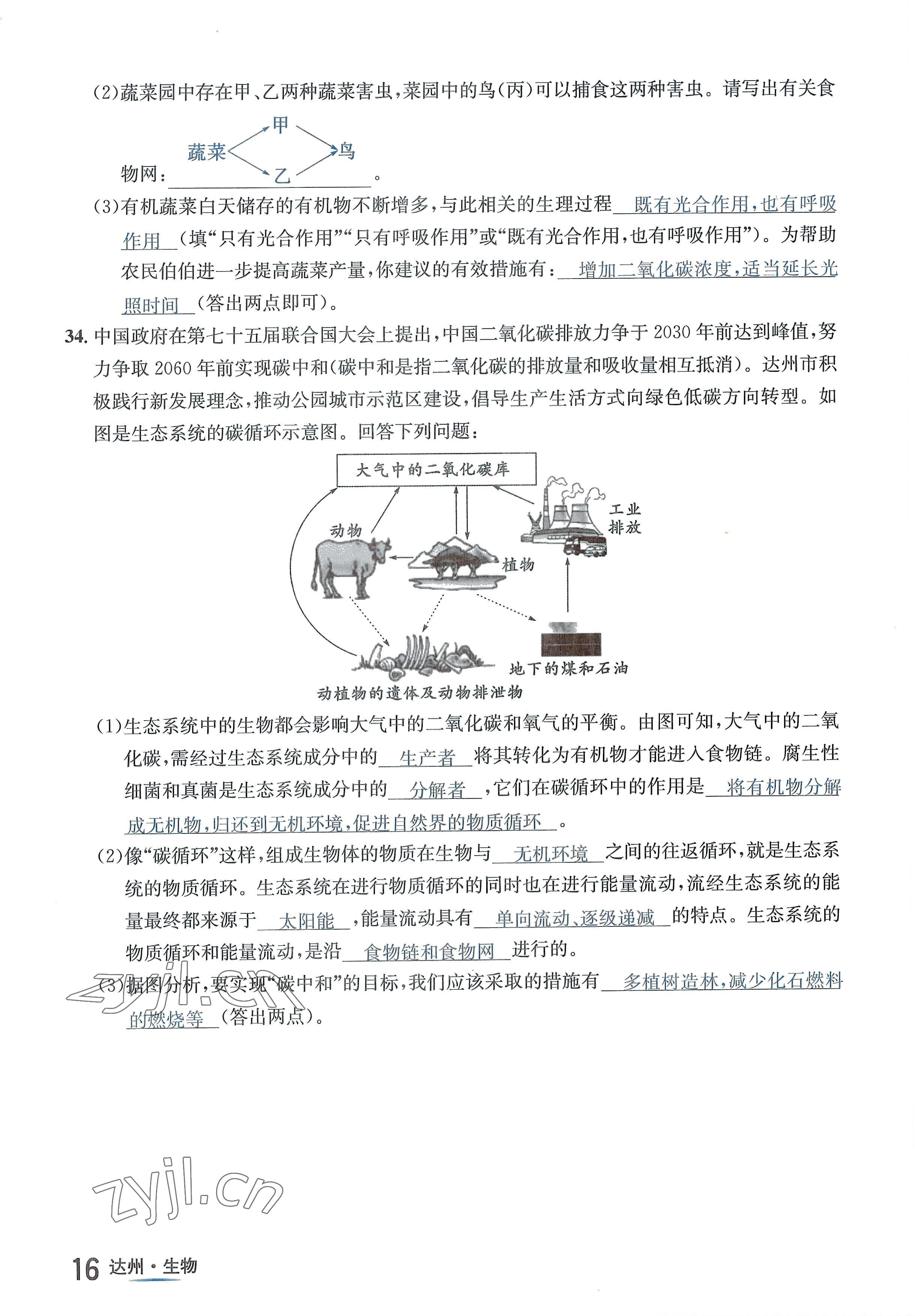 2022年國華考試中考總動員生物達(dá)州專版 參考答案第28頁