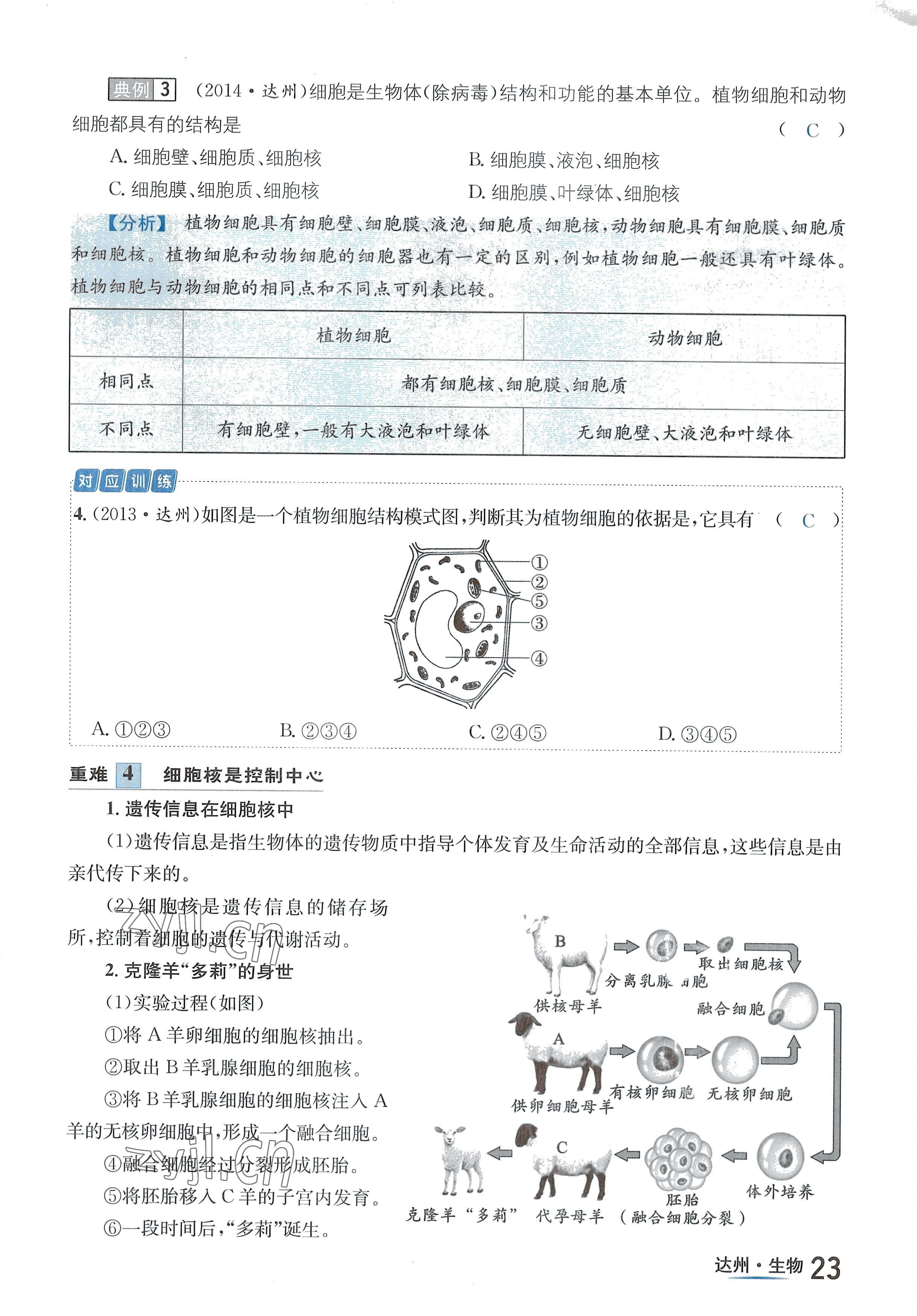 2022年國(guó)華考試中考總動(dòng)員生物達(dá)州專版 參考答案第42頁(yè)