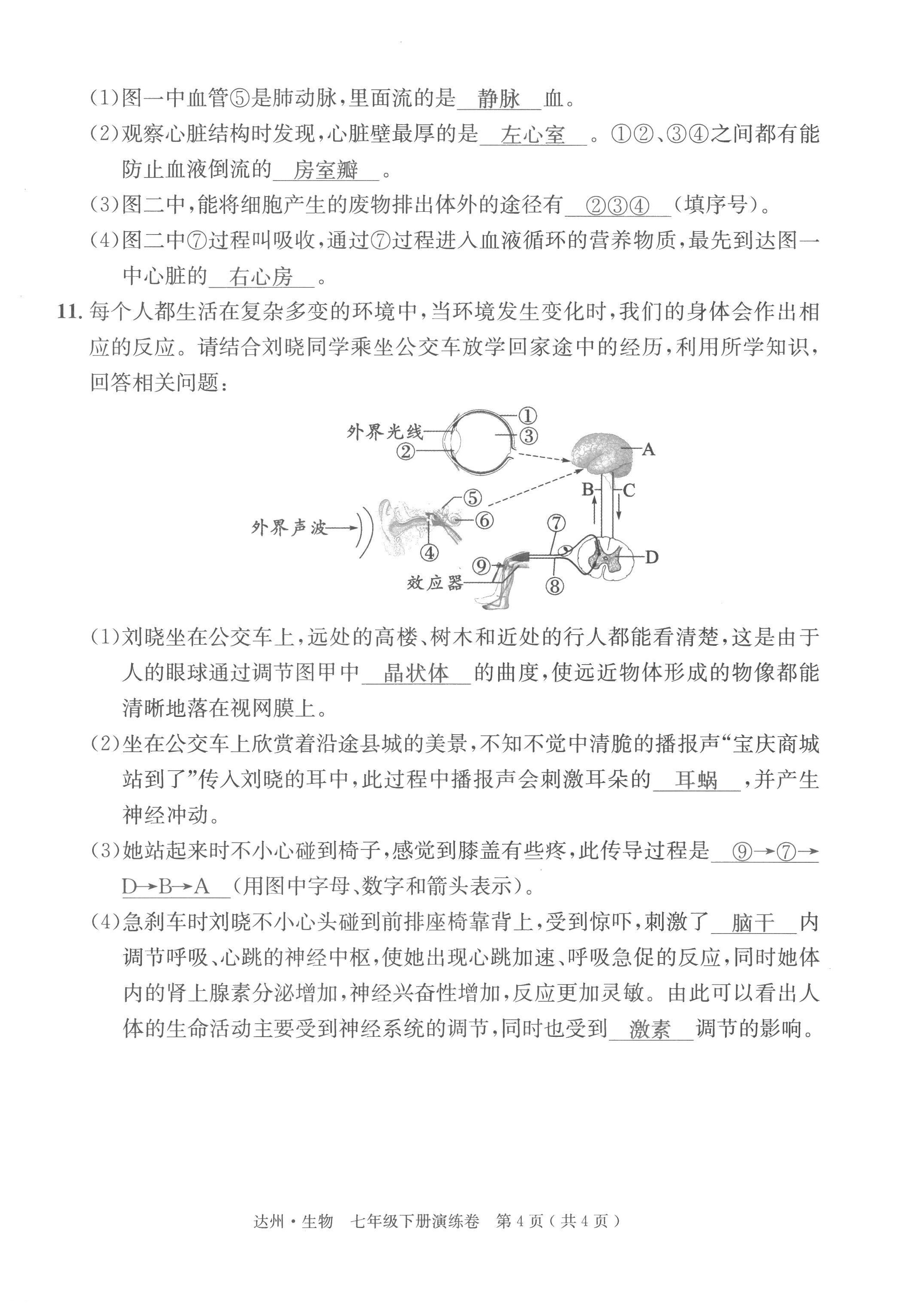 2022年國華考試中考總動員生物達州專版 第8頁