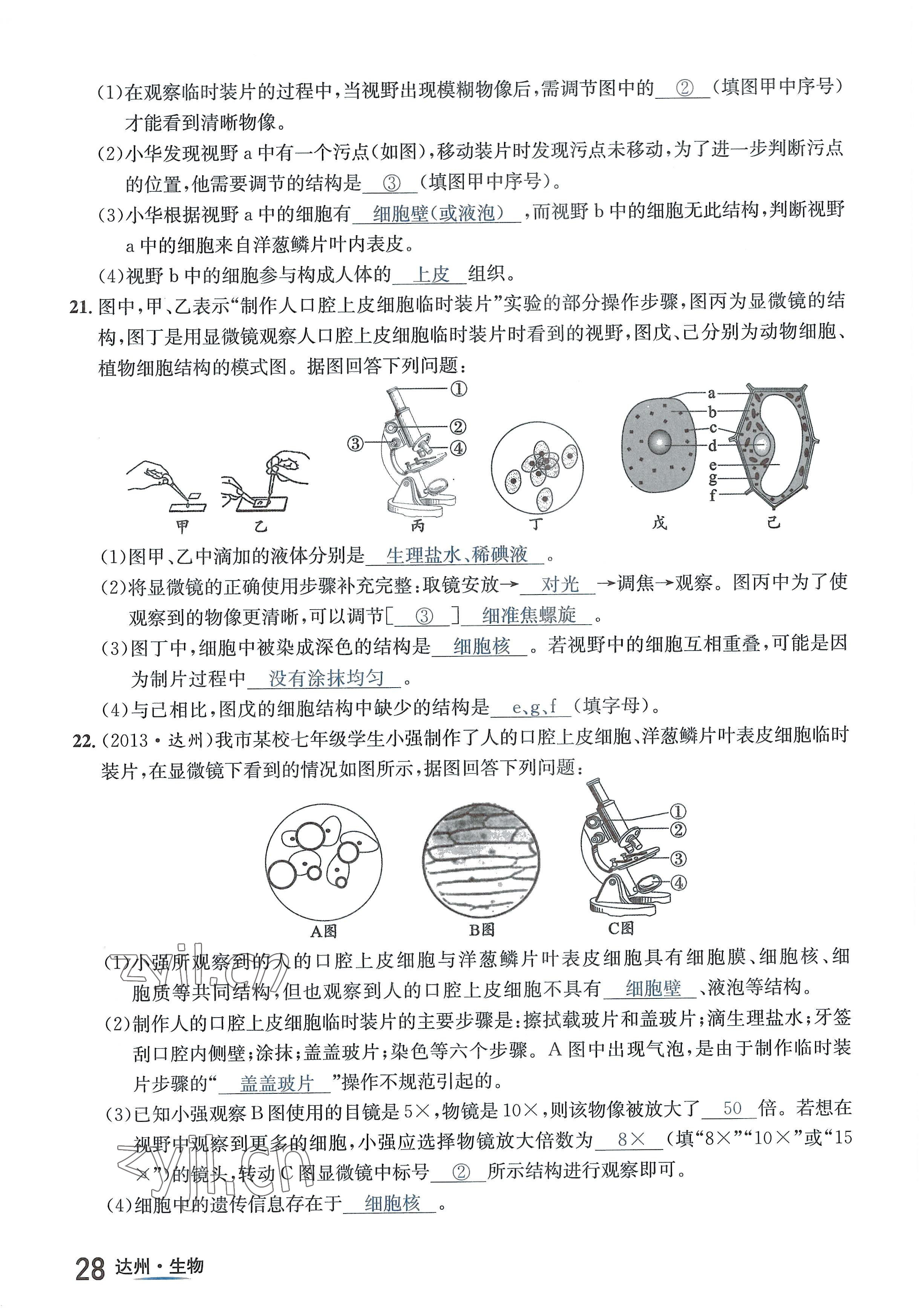 2022年國華考試中考總動員生物達州專版 參考答案第52頁