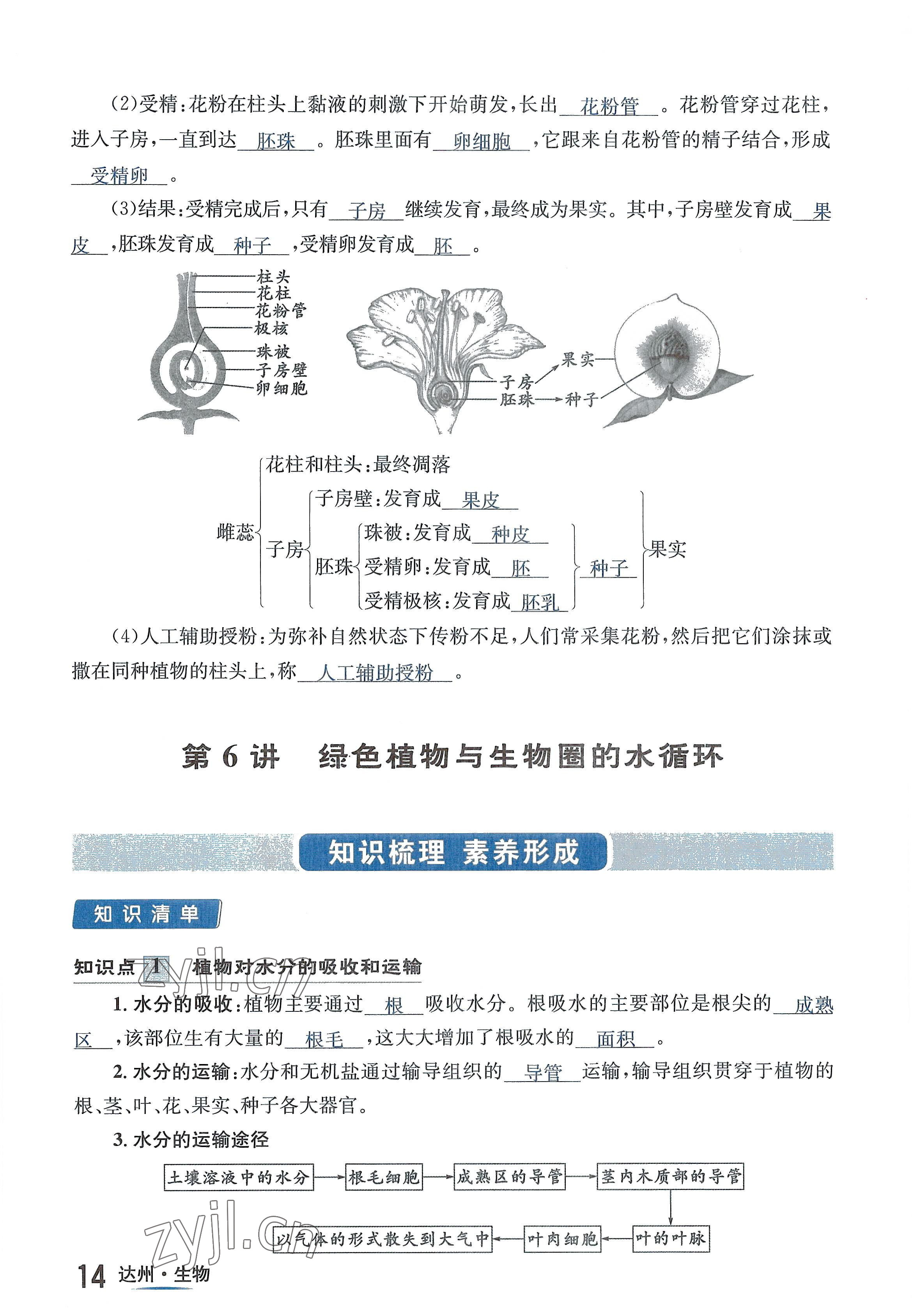 2022年國(guó)華考試中考總動(dòng)員生物達(dá)州專(zhuān)版 參考答案第31頁(yè)