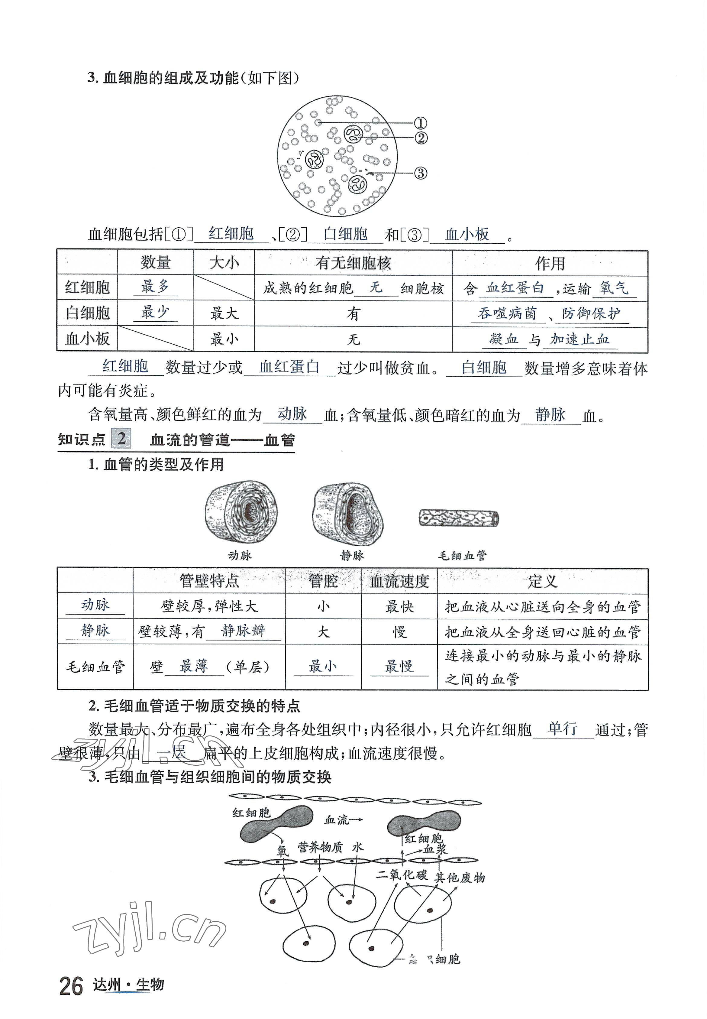 2022年國(guó)華考試中考總動(dòng)員生物達(dá)州專版 參考答案第55頁(yè)