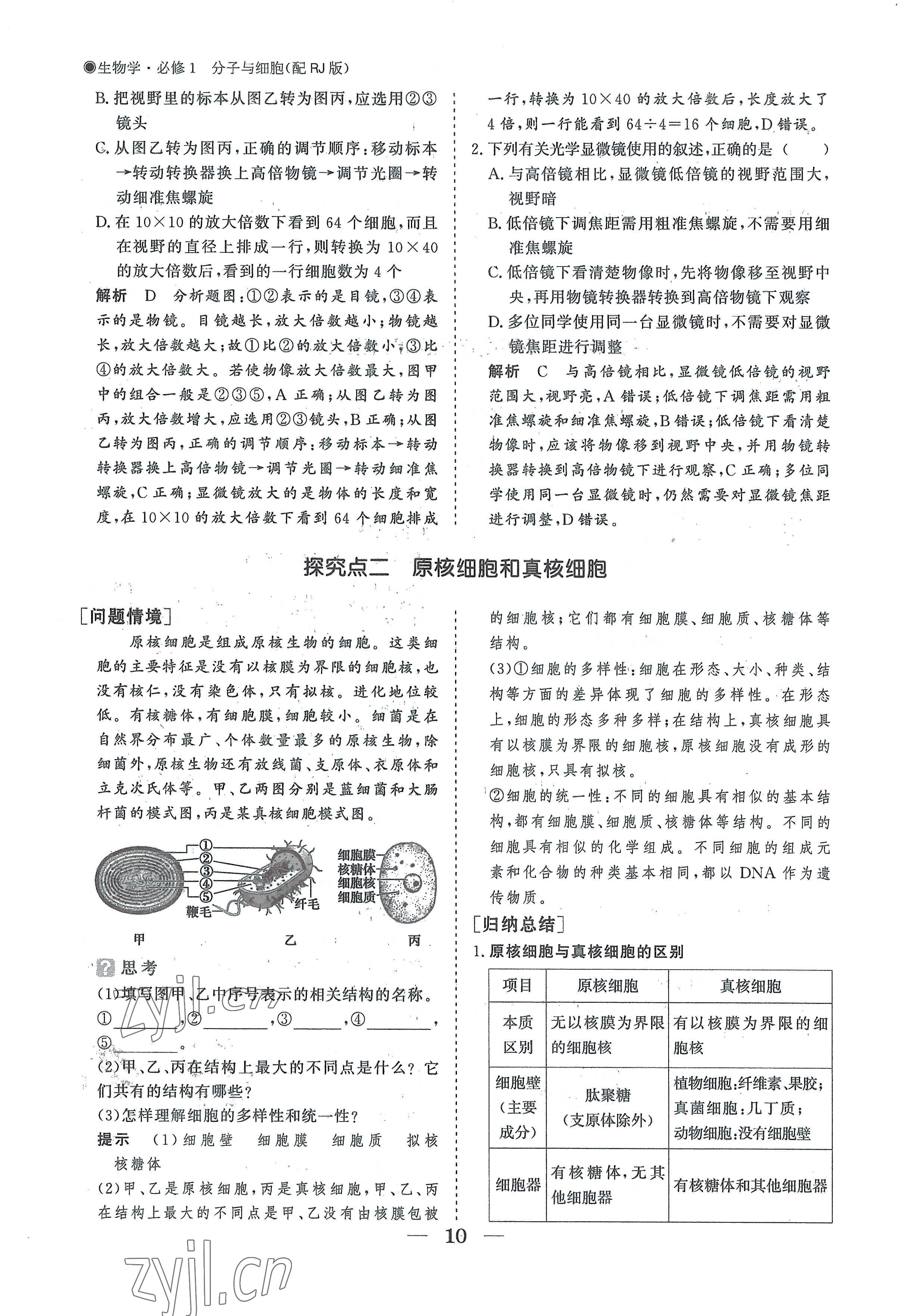 2022年高中導學測控優(yōu)化設(shè)計方案高中生物必修1人教版 參考答案第10頁