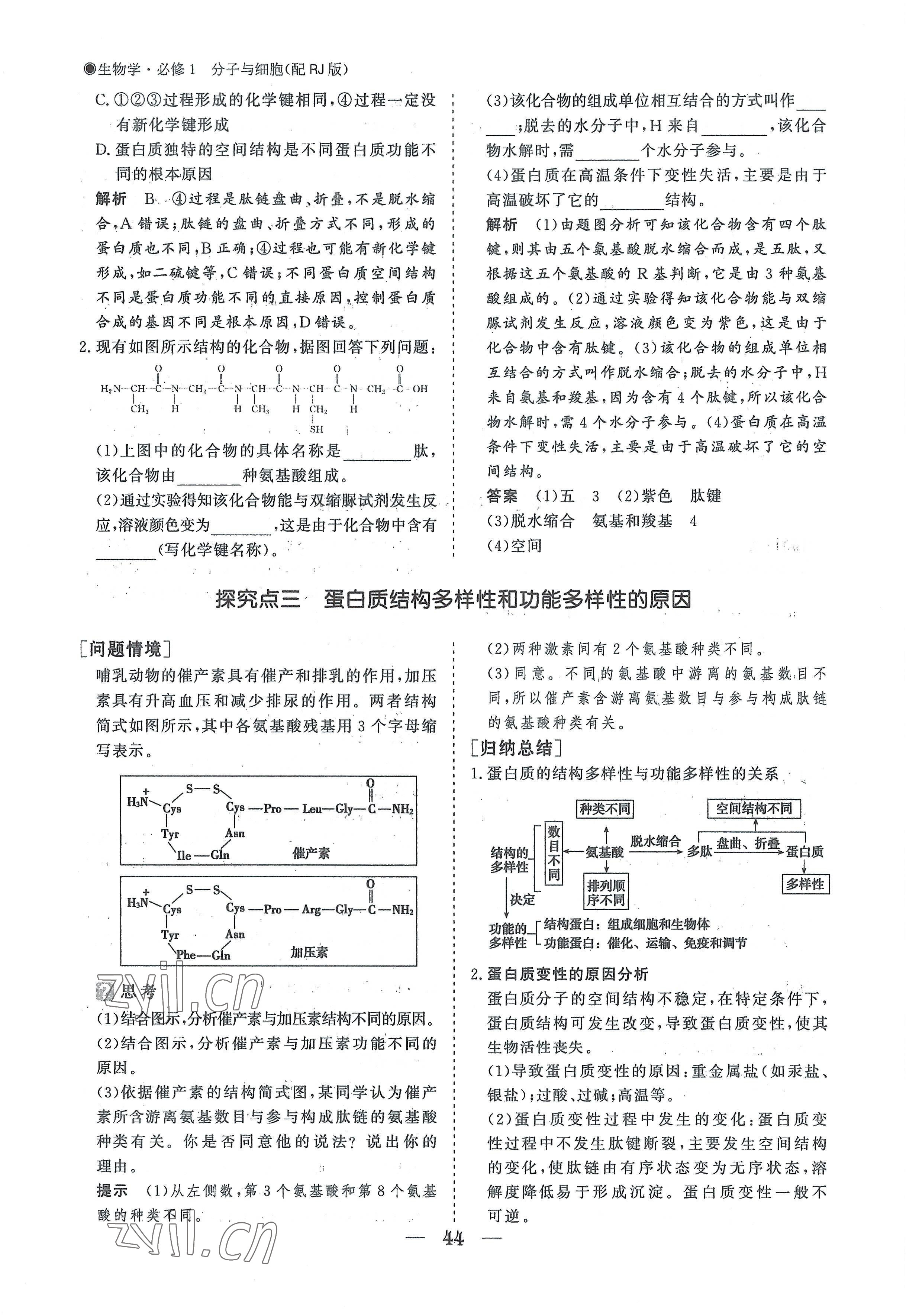 2022年高中導(dǎo)學(xué)測控優(yōu)化設(shè)計方案高中生物必修1人教版 參考答案第44頁