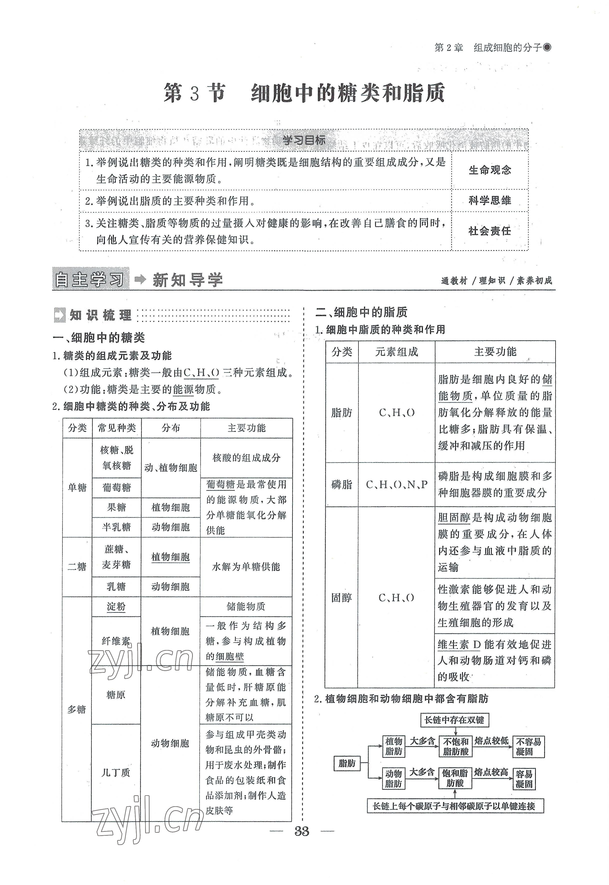 2022年高中導學測控優(yōu)化設計方案高中生物必修1人教版 參考答案第33頁