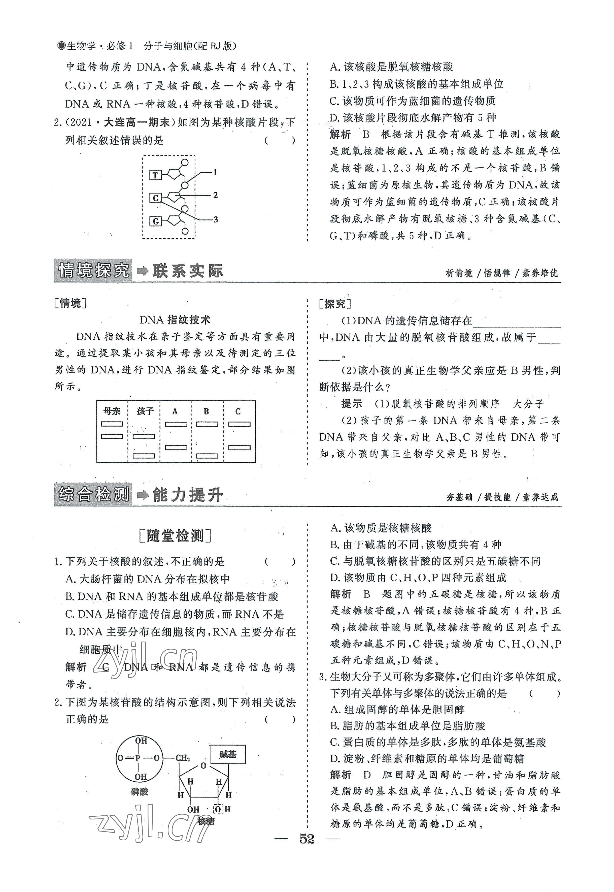 2022年高中導(dǎo)學(xué)測控優(yōu)化設(shè)計方案高中生物必修1人教版 參考答案第52頁