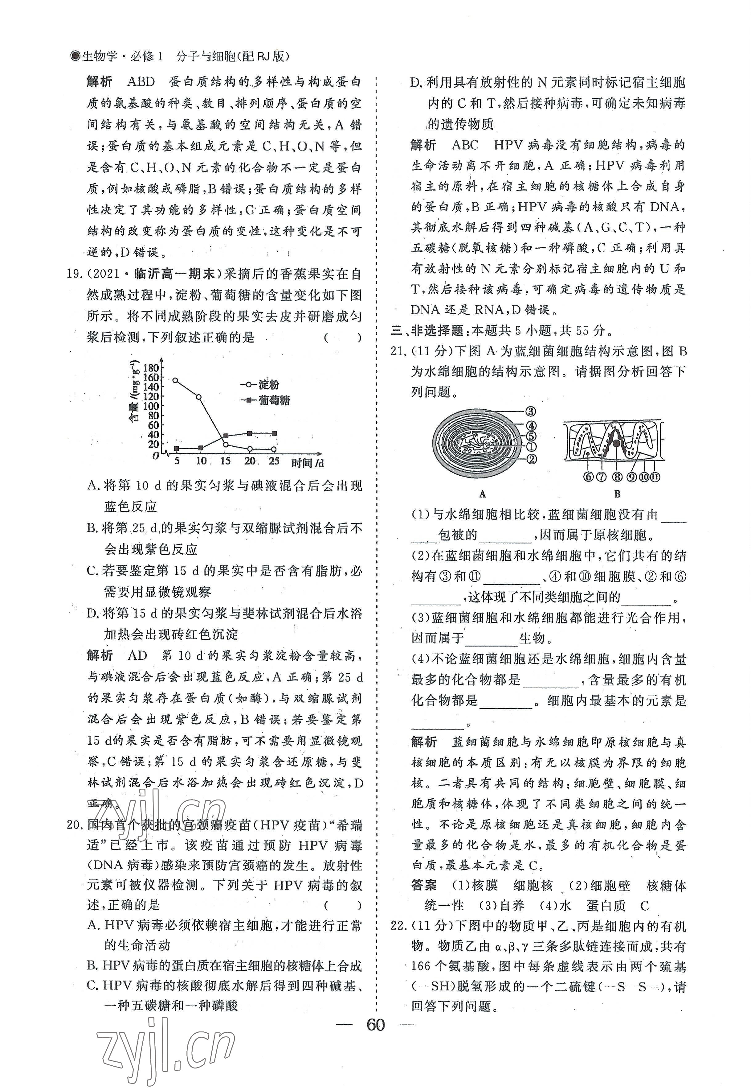 2022年高中導(dǎo)學(xué)測控優(yōu)化設(shè)計方案高中生物必修1人教版 參考答案第60頁