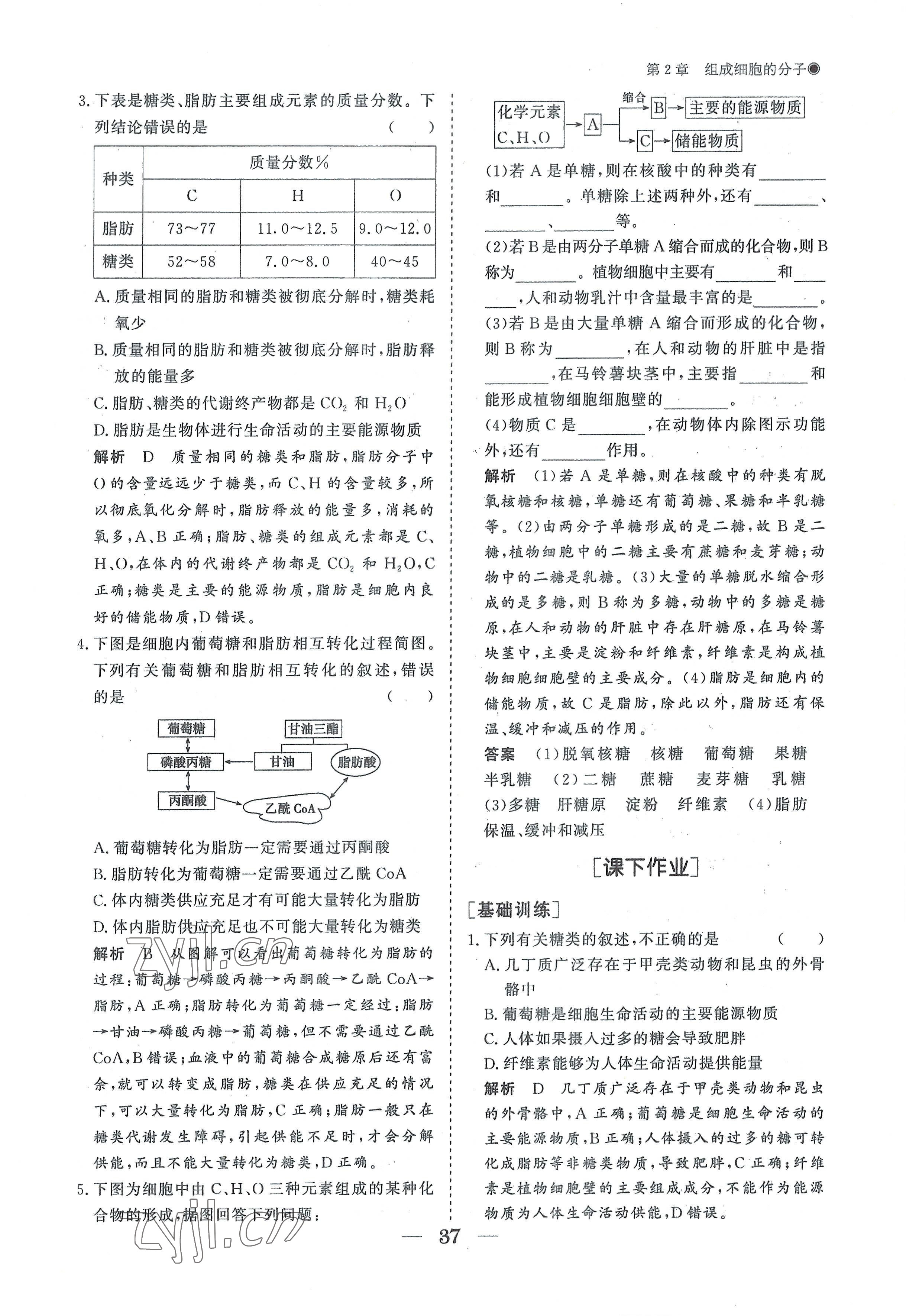 2022年高中導(dǎo)學(xué)測控優(yōu)化設(shè)計方案高中生物必修1人教版 參考答案第37頁