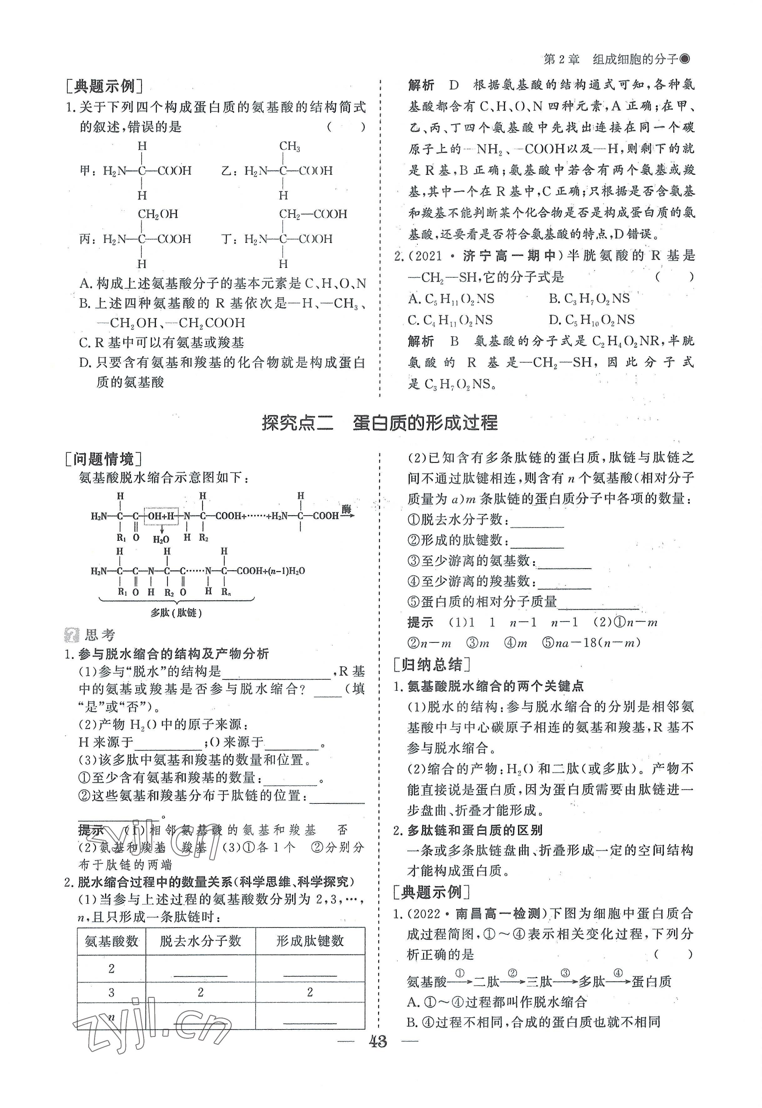 2022年高中導(dǎo)學(xué)測控優(yōu)化設(shè)計(jì)方案高中生物必修1人教版 參考答案第43頁