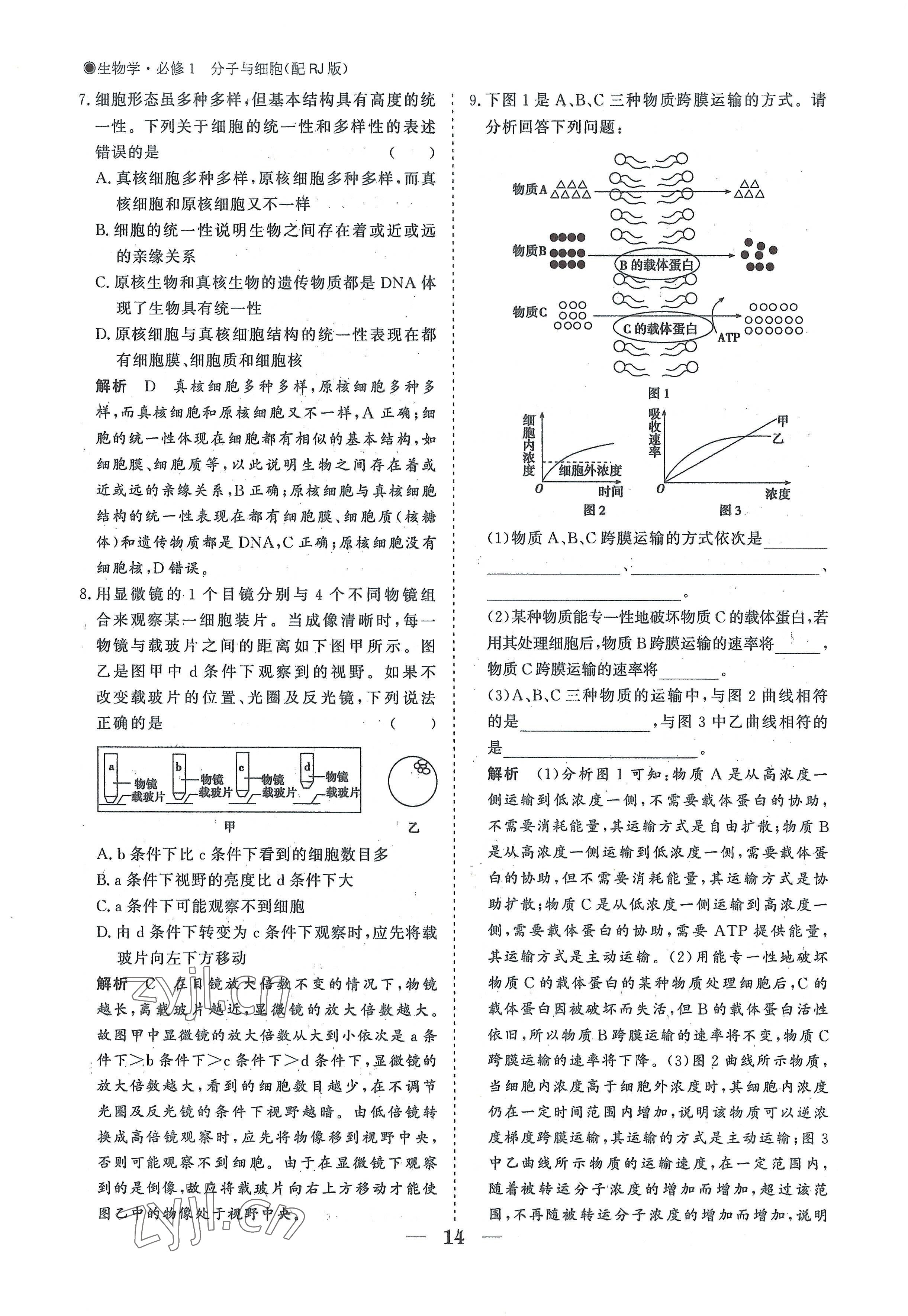 2022年高中導(dǎo)學(xué)測(cè)控優(yōu)化設(shè)計(jì)方案高中生物必修1人教版 參考答案第14頁