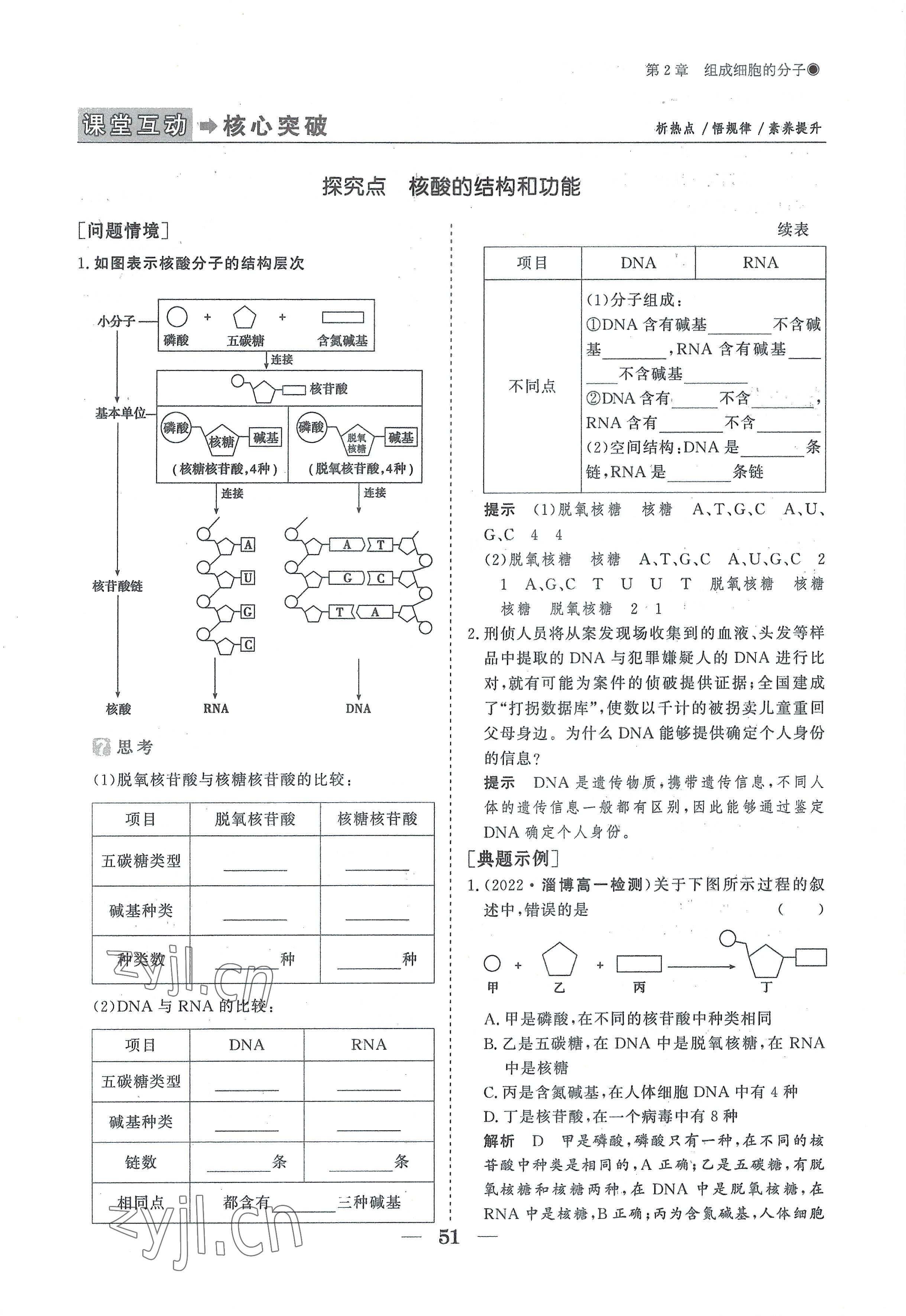 2022年高中導(dǎo)學(xué)測控優(yōu)化設(shè)計(jì)方案高中生物必修1人教版 參考答案第51頁