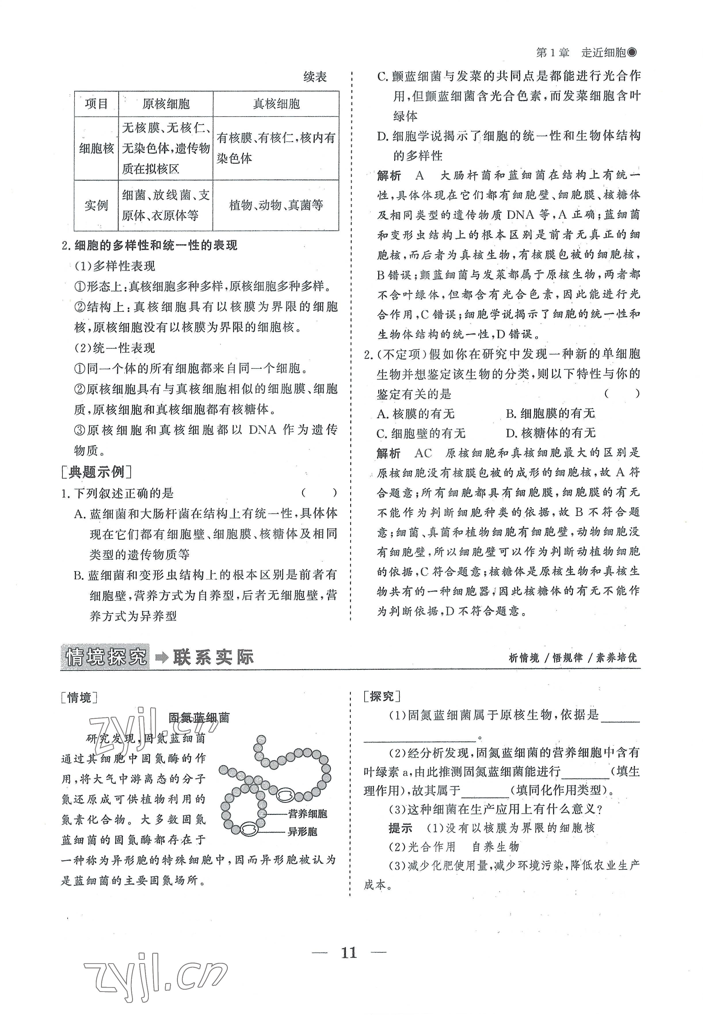 2022年高中導學測控優(yōu)化設計方案高中生物必修1人教版 參考答案第11頁