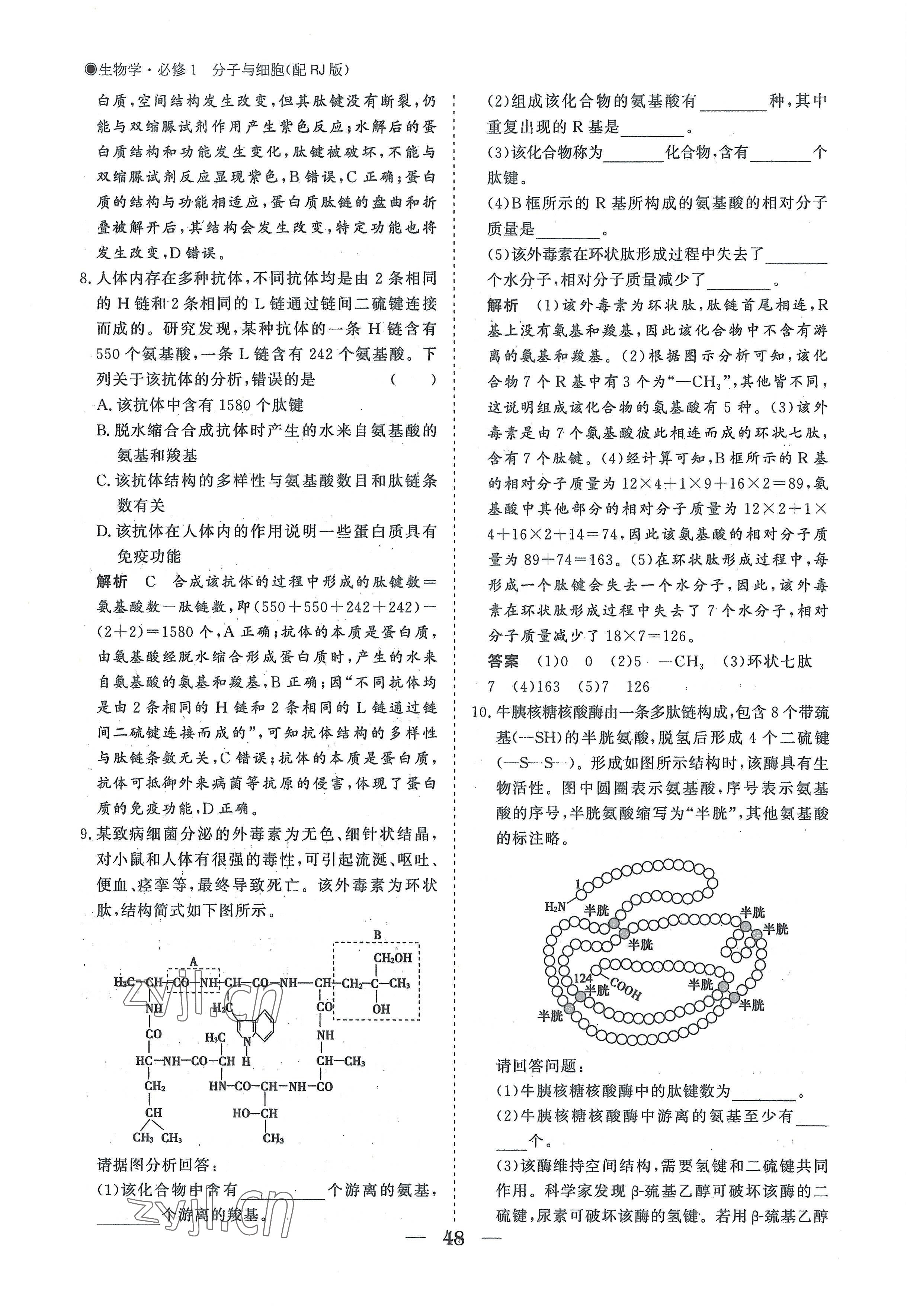 2022年高中導(dǎo)學(xué)測控優(yōu)化設(shè)計方案高中生物必修1人教版 參考答案第48頁