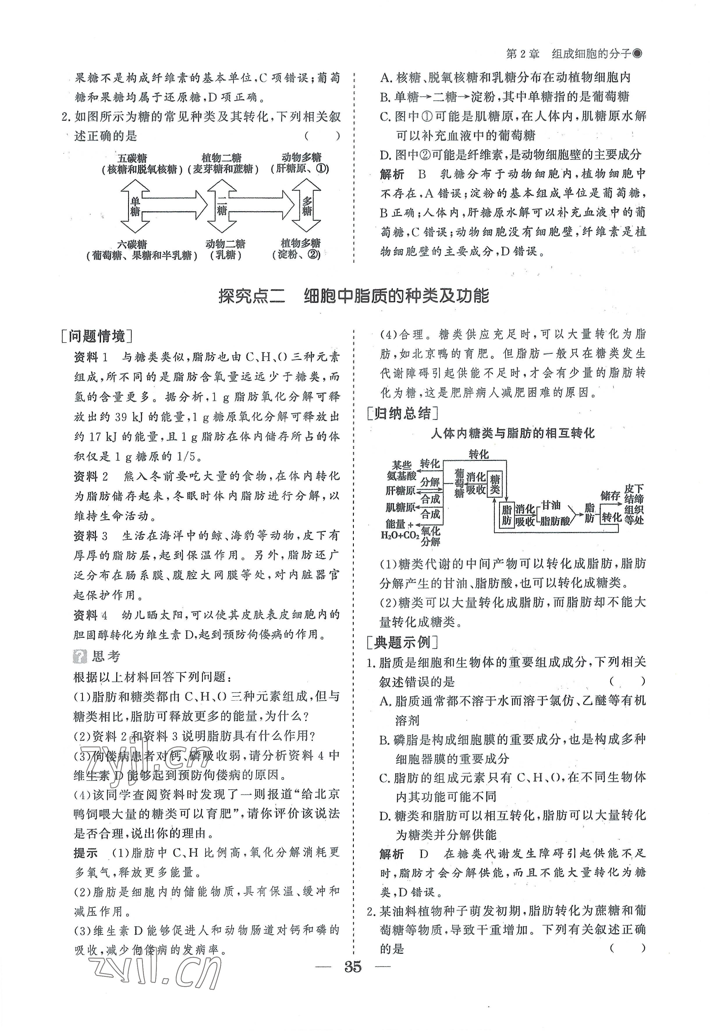 2022年高中導(dǎo)學(xué)測控優(yōu)化設(shè)計方案高中生物必修1人教版 參考答案第35頁